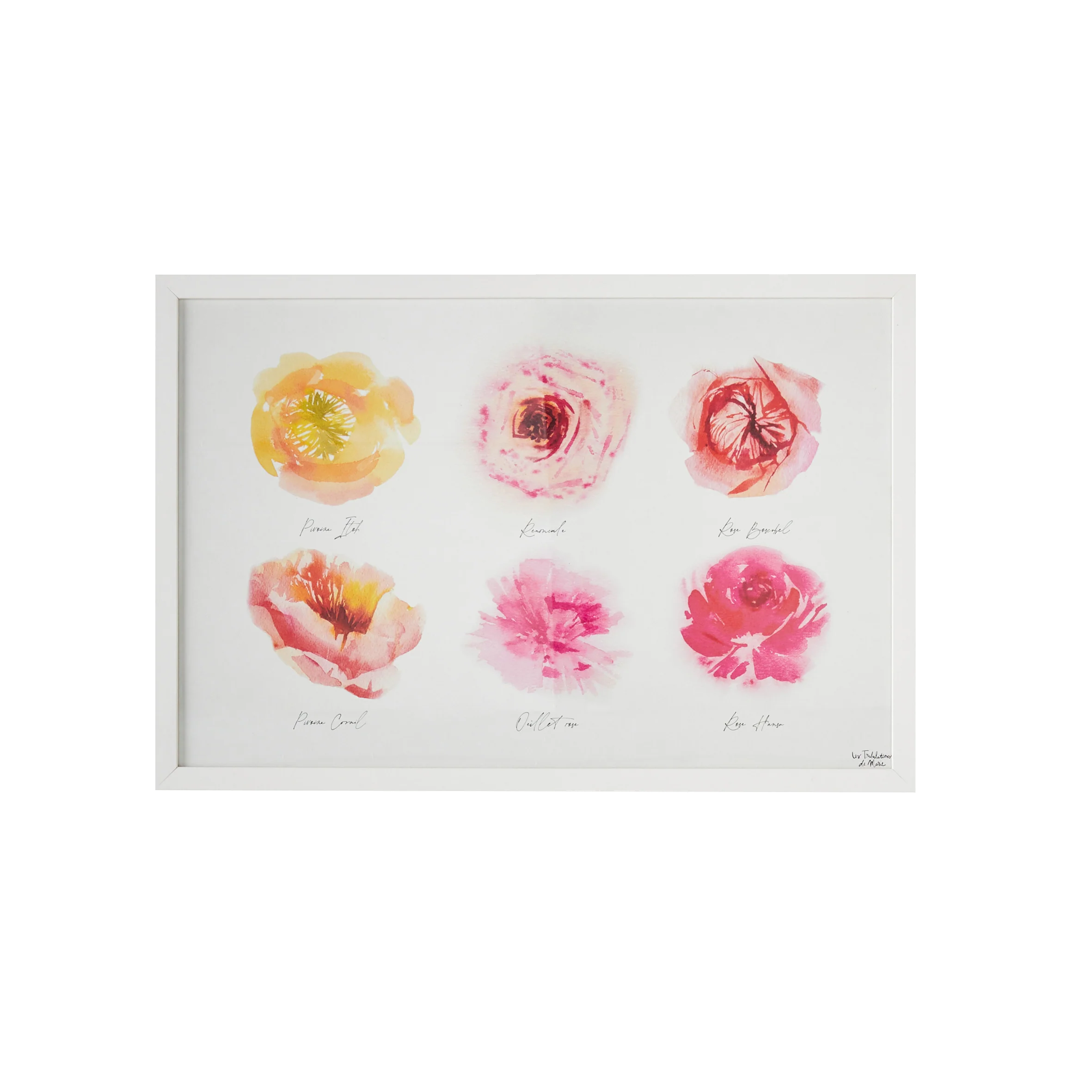 4MURS Image sous verre ROSERAIE 60 x 40 cm