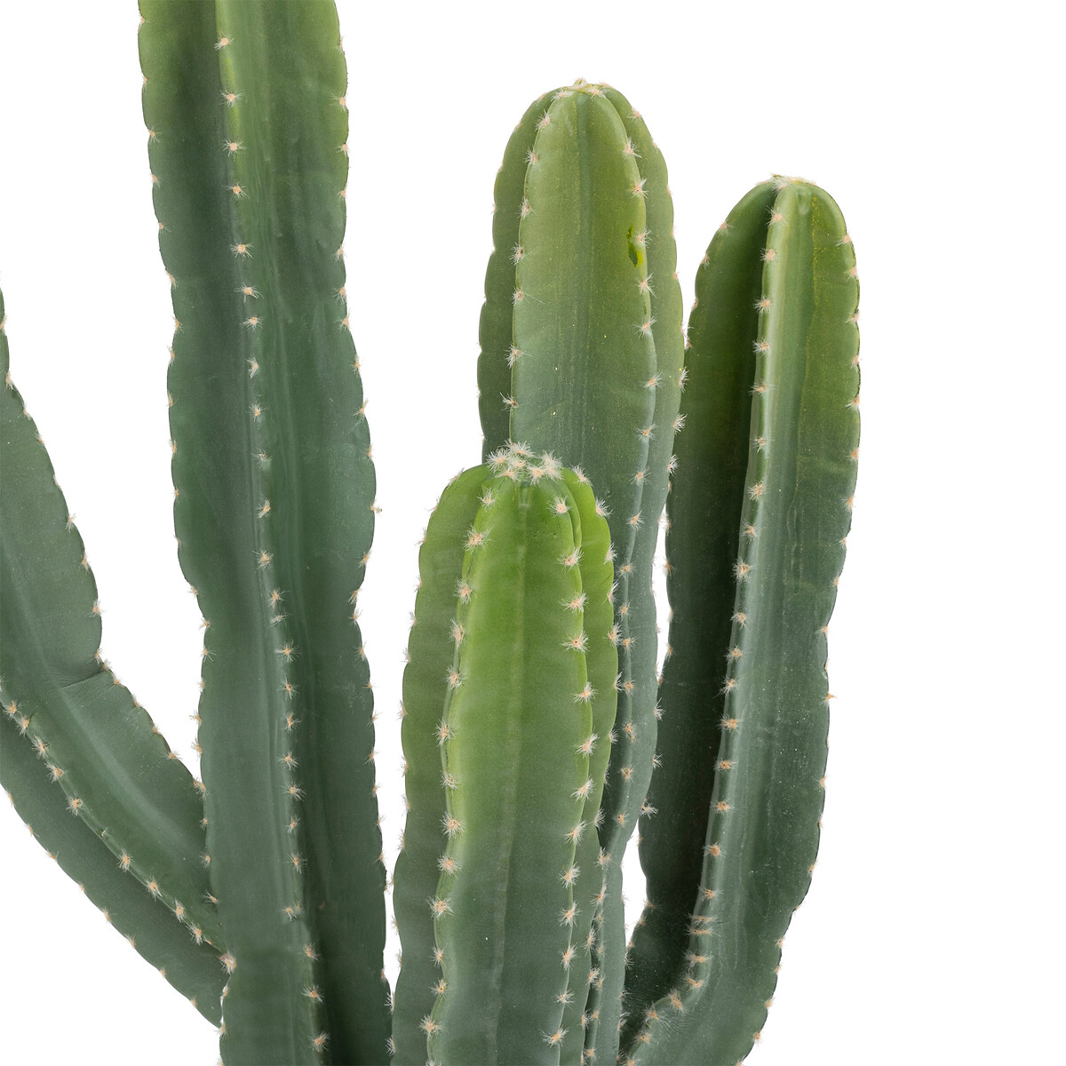 "Exotic Panama" Cactus Plastic pot, H.117 cm
