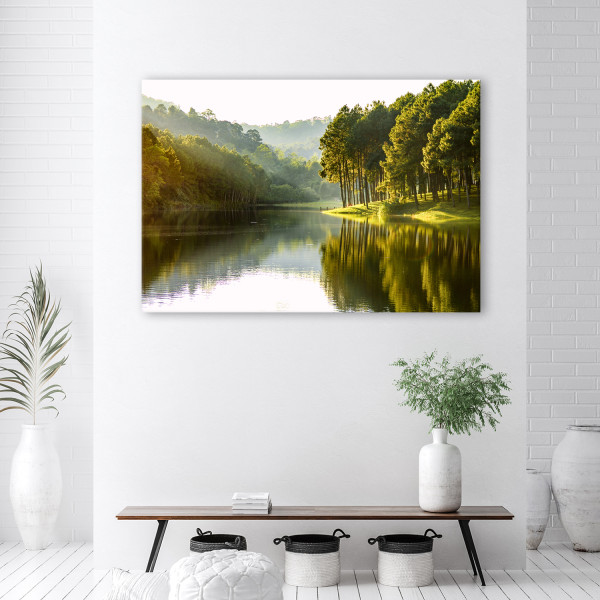 Feeby Obraz, Krajobraz las drzewa natura 60x40