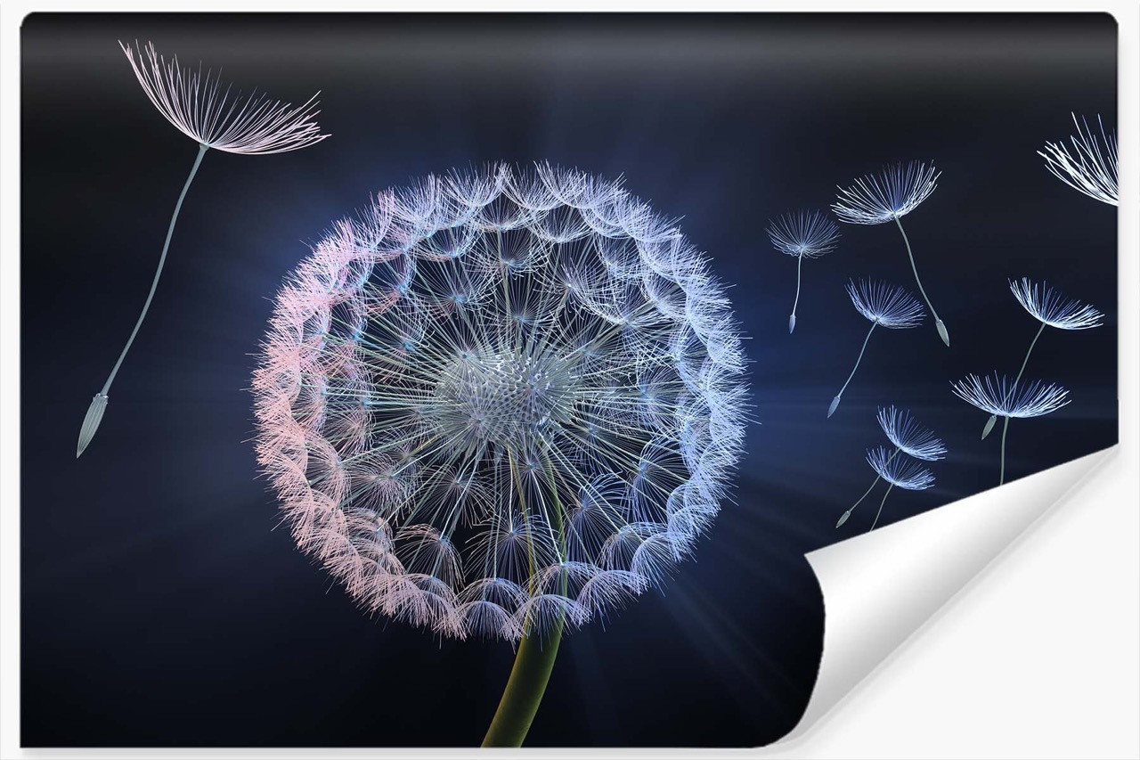 Fototapeta Abstrakcyjne Dmuchawce Efekt 3D 90x60cm