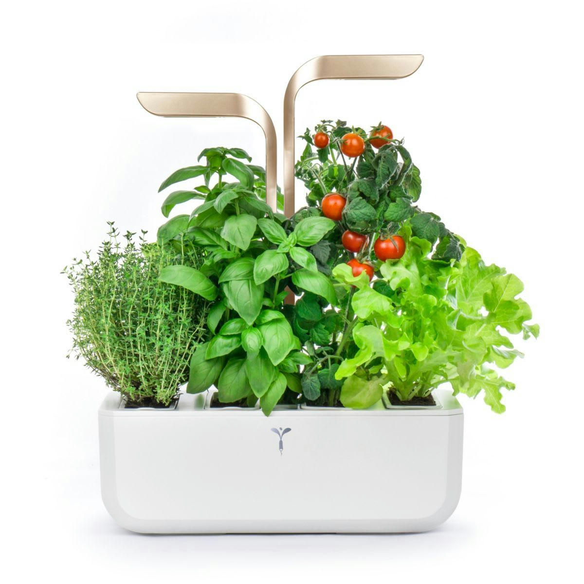 CONNECT - Potager d'intérieur Véritable® connect moonlight gold