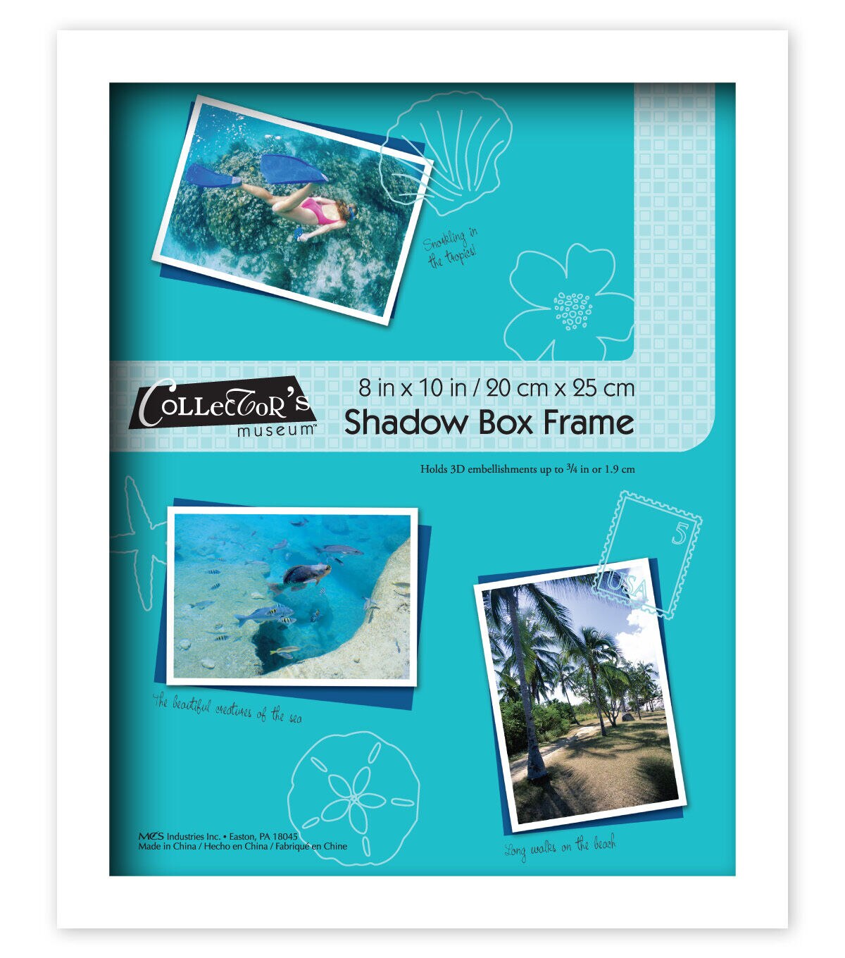 Collector's Museum 8x10 Omega White Shadow Box