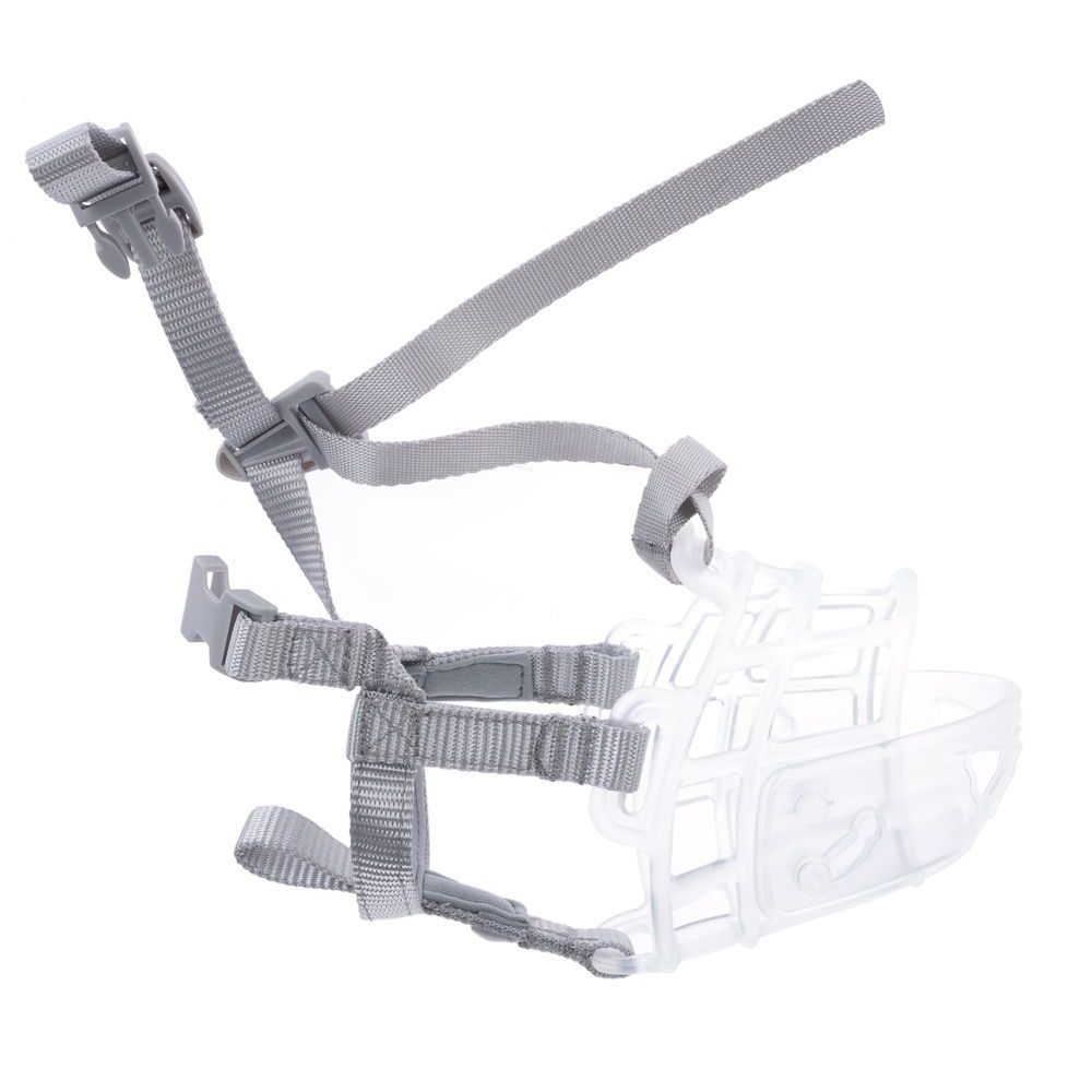 Nomad Tales Calma Transparent Muzzle