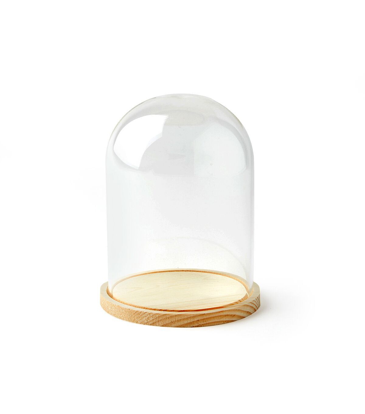 6 Dome Top Glass Terrarium by Park Lane