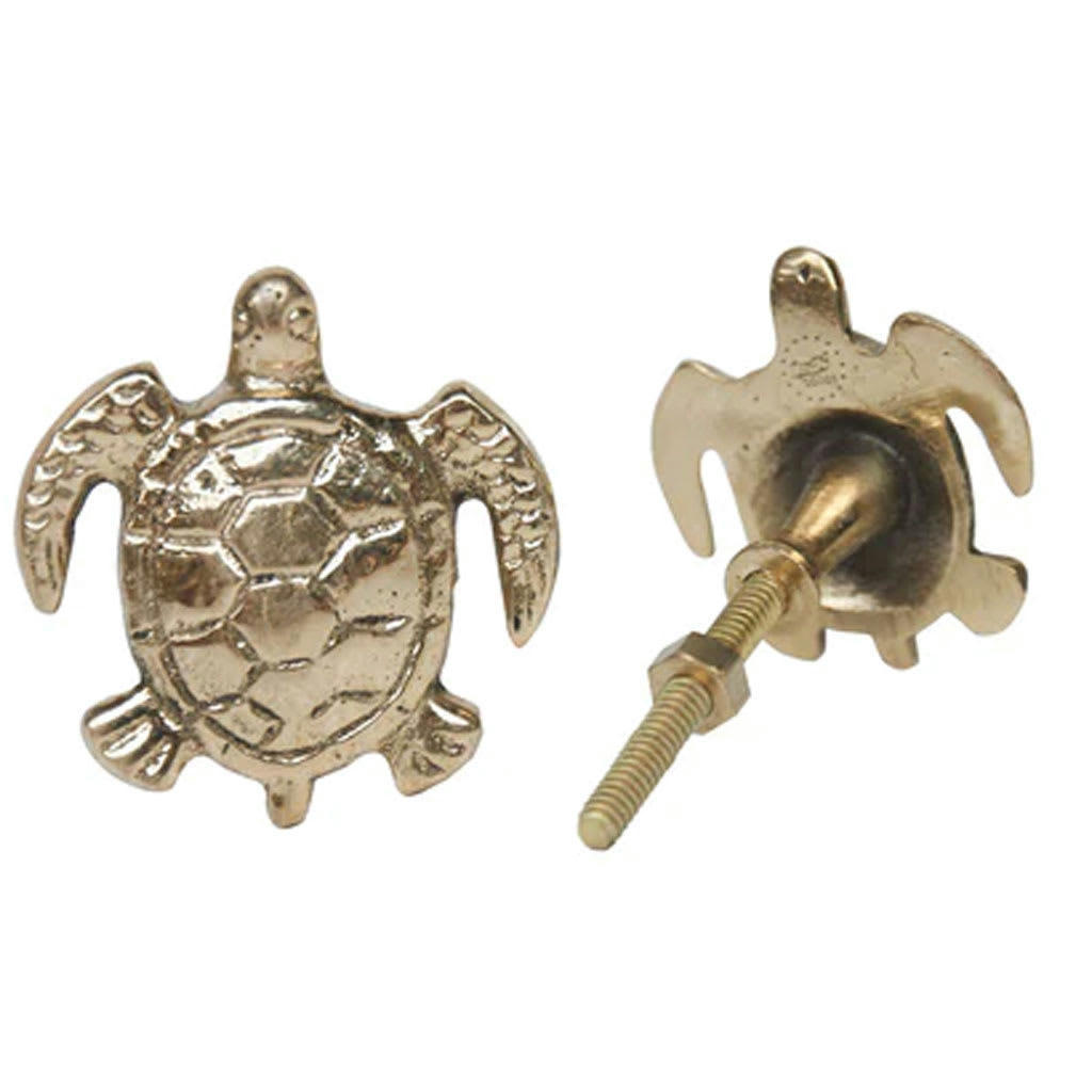 TOMMY - Bouton de tiroir tortue 4cm