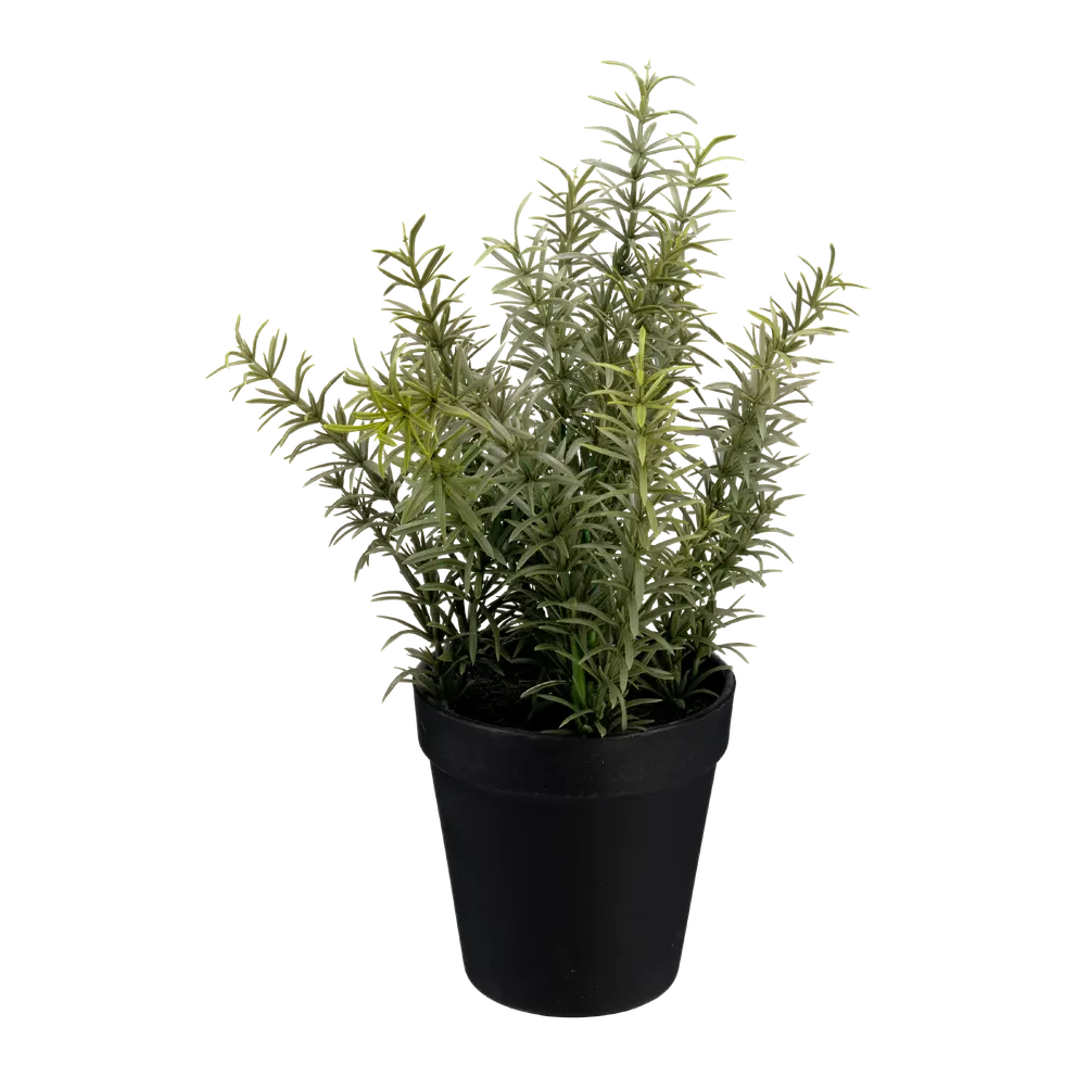 Kunstpflanze Herbs