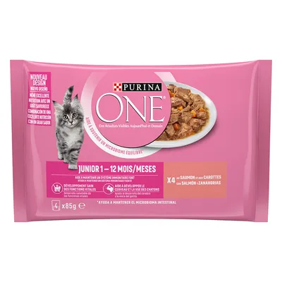 PURINA ONE Junior