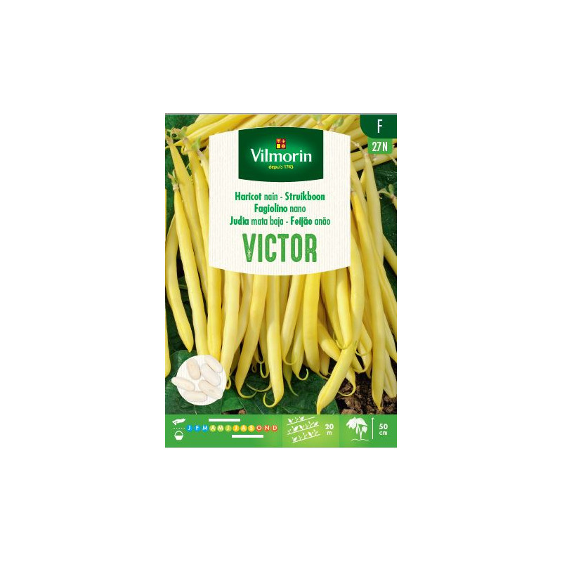 Semences de haricot nain beurre Victor 100 g VILMORIN