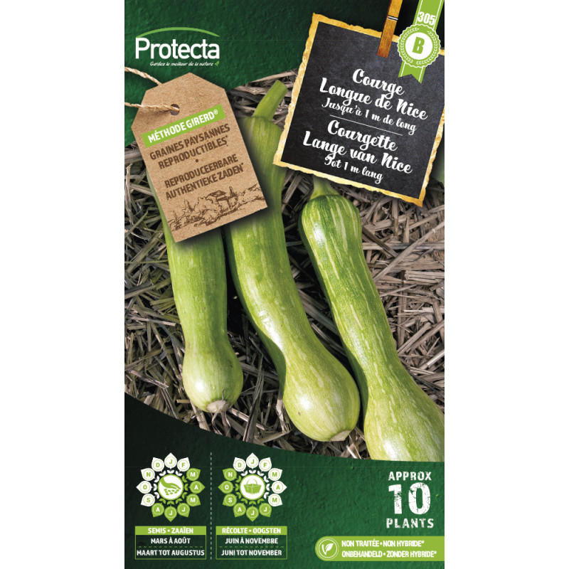Semences de courge Longue de Nice PROTECTA