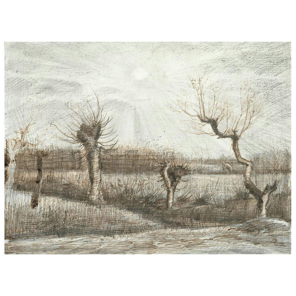 - Tableau têtards (Pollards) Vincent Van Gogh 60x80cm