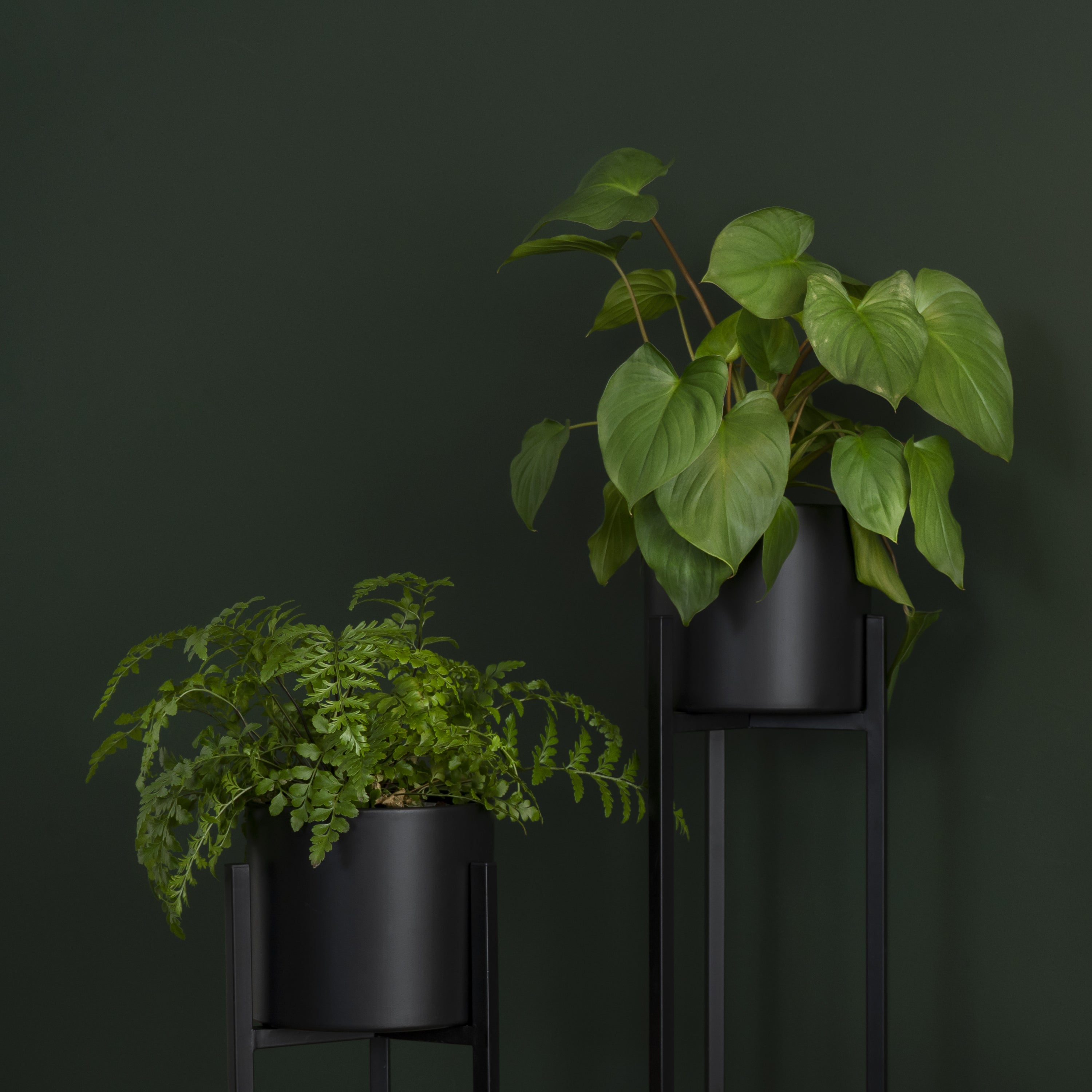 QUVIO Plantenstandaard inclusief pot - 22x22x90 cm - Zwart - L