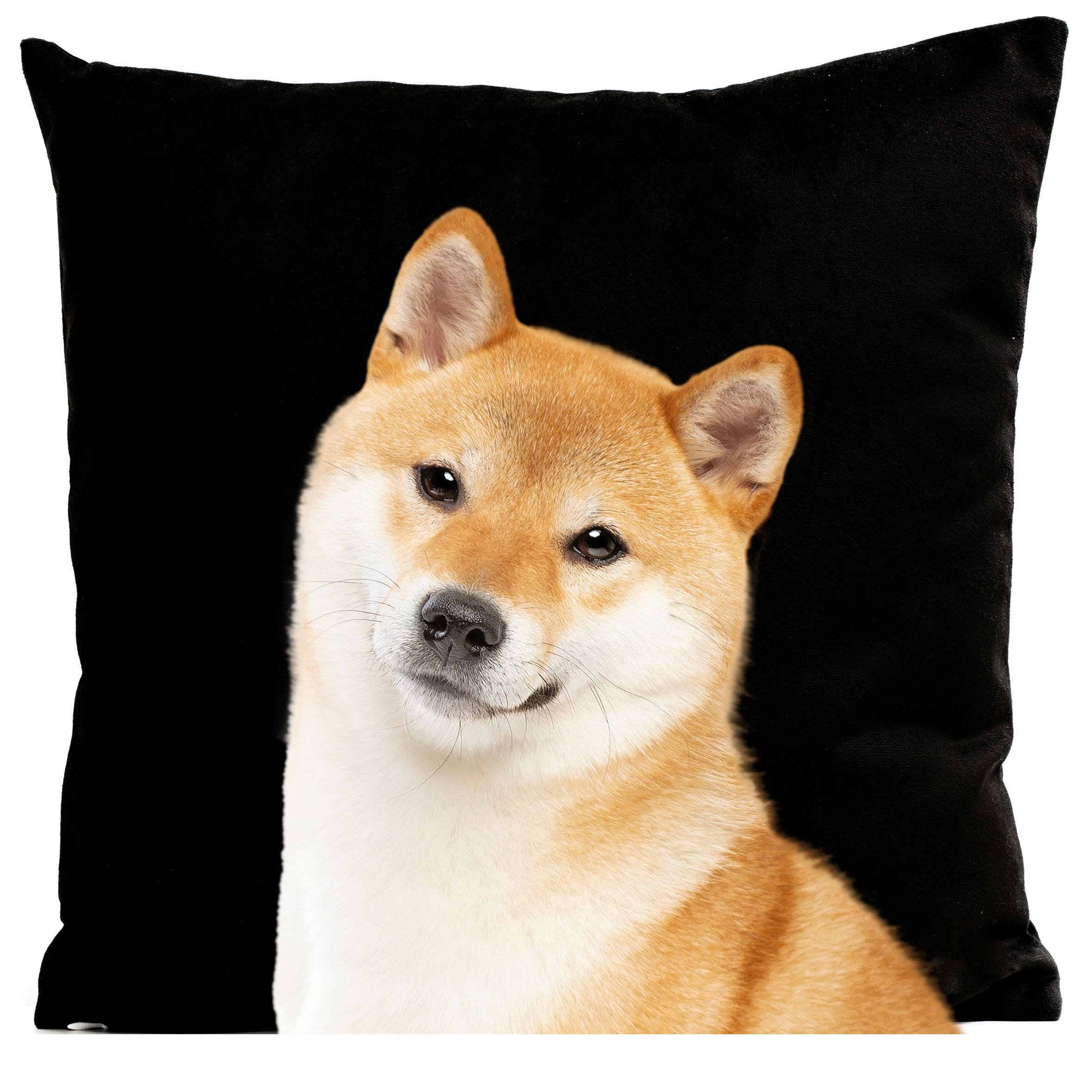 - Coussin chien shiba suédine noir 40x40cm