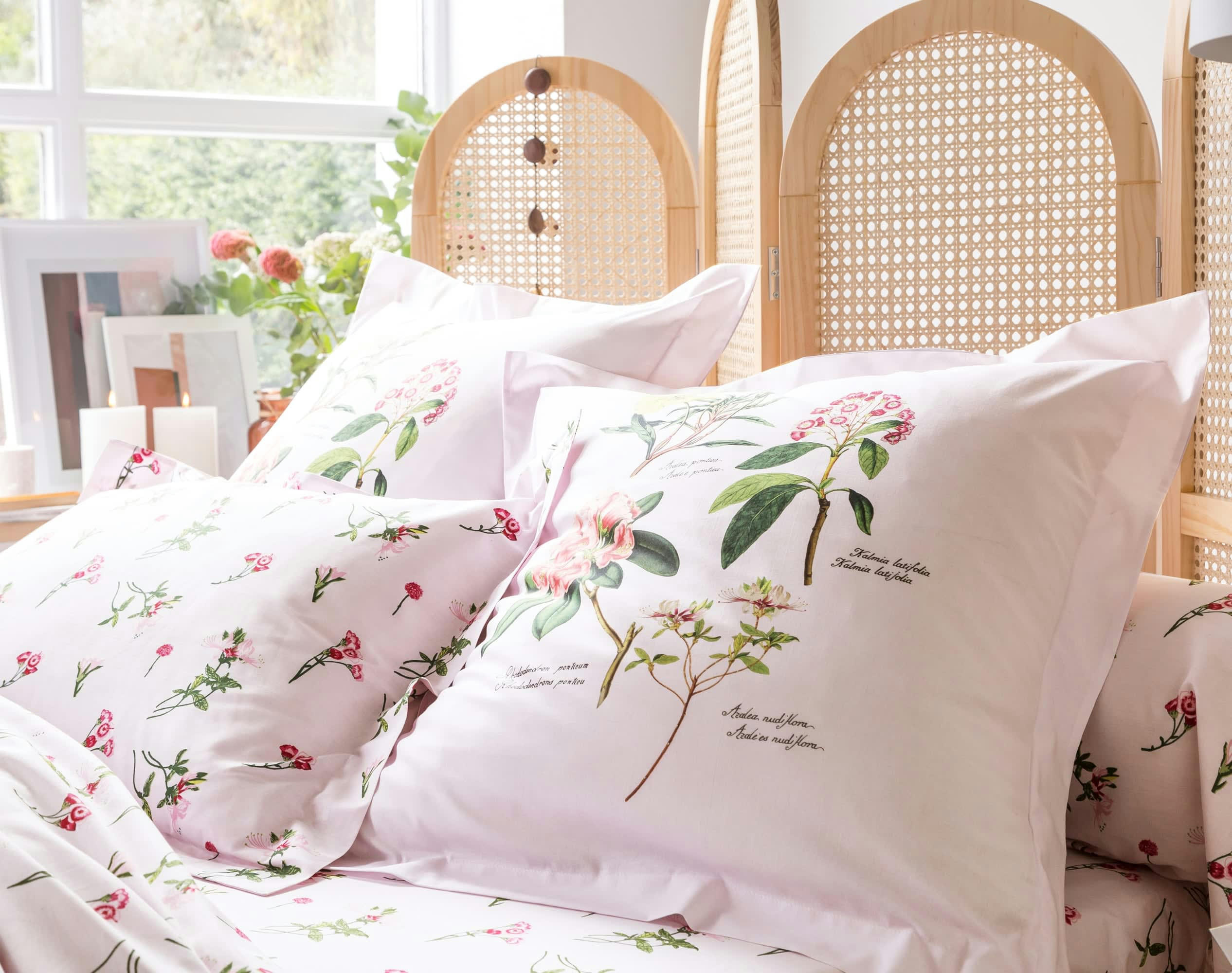 AZALEE - Taie d'oreiller 50x70 blanc en coton