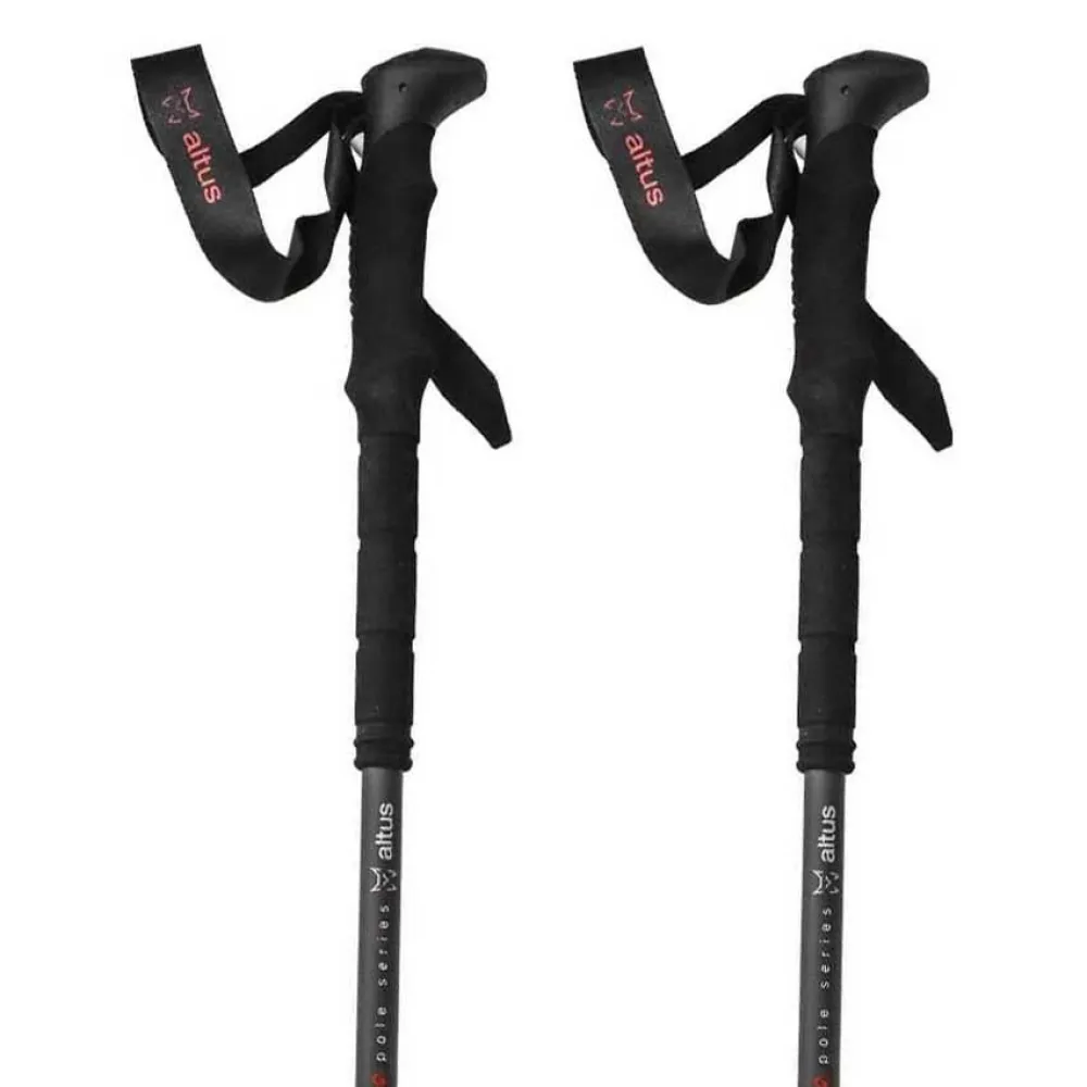 Altus Acebo H30 poles