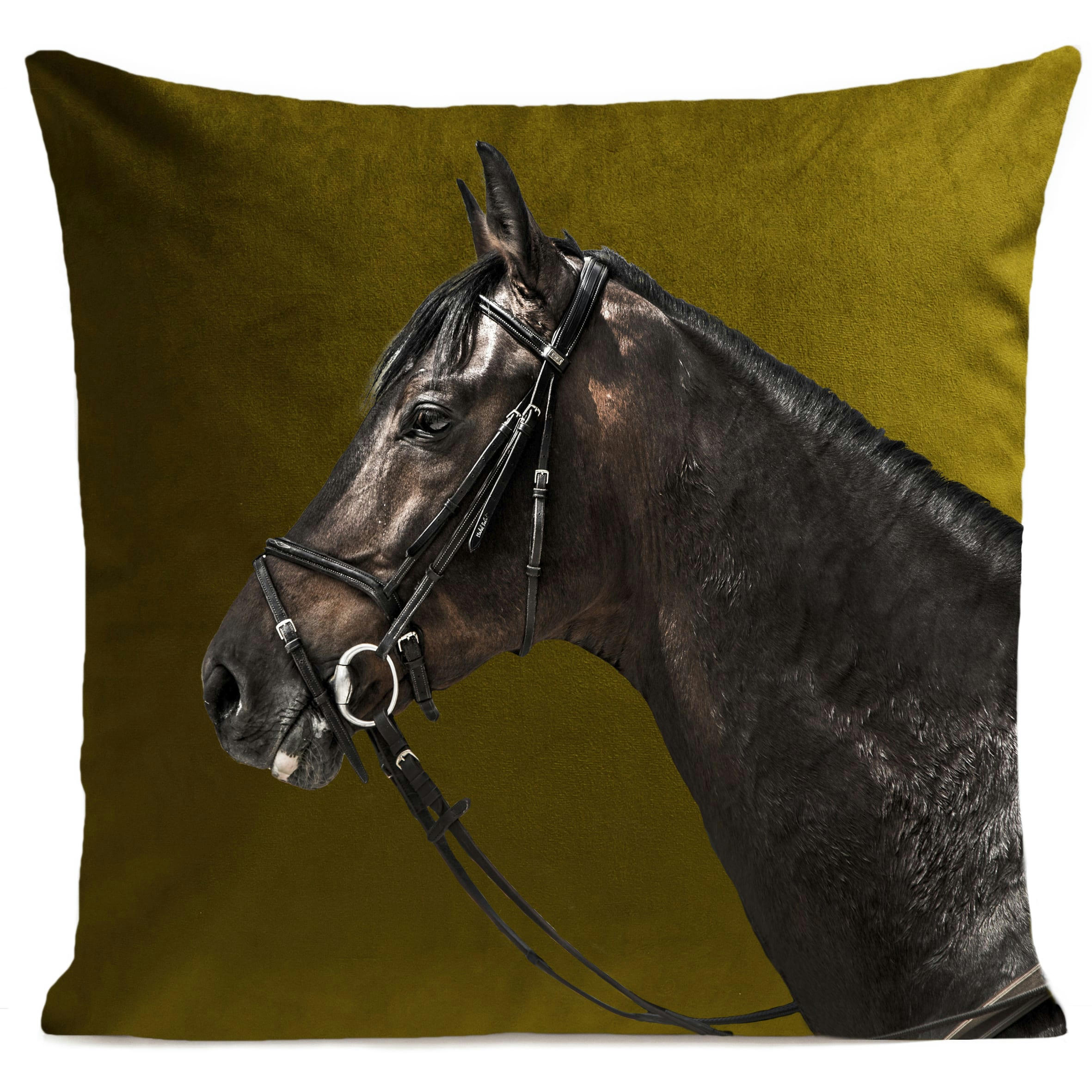 - Coussin animal cheval vert suédine 40x40cm