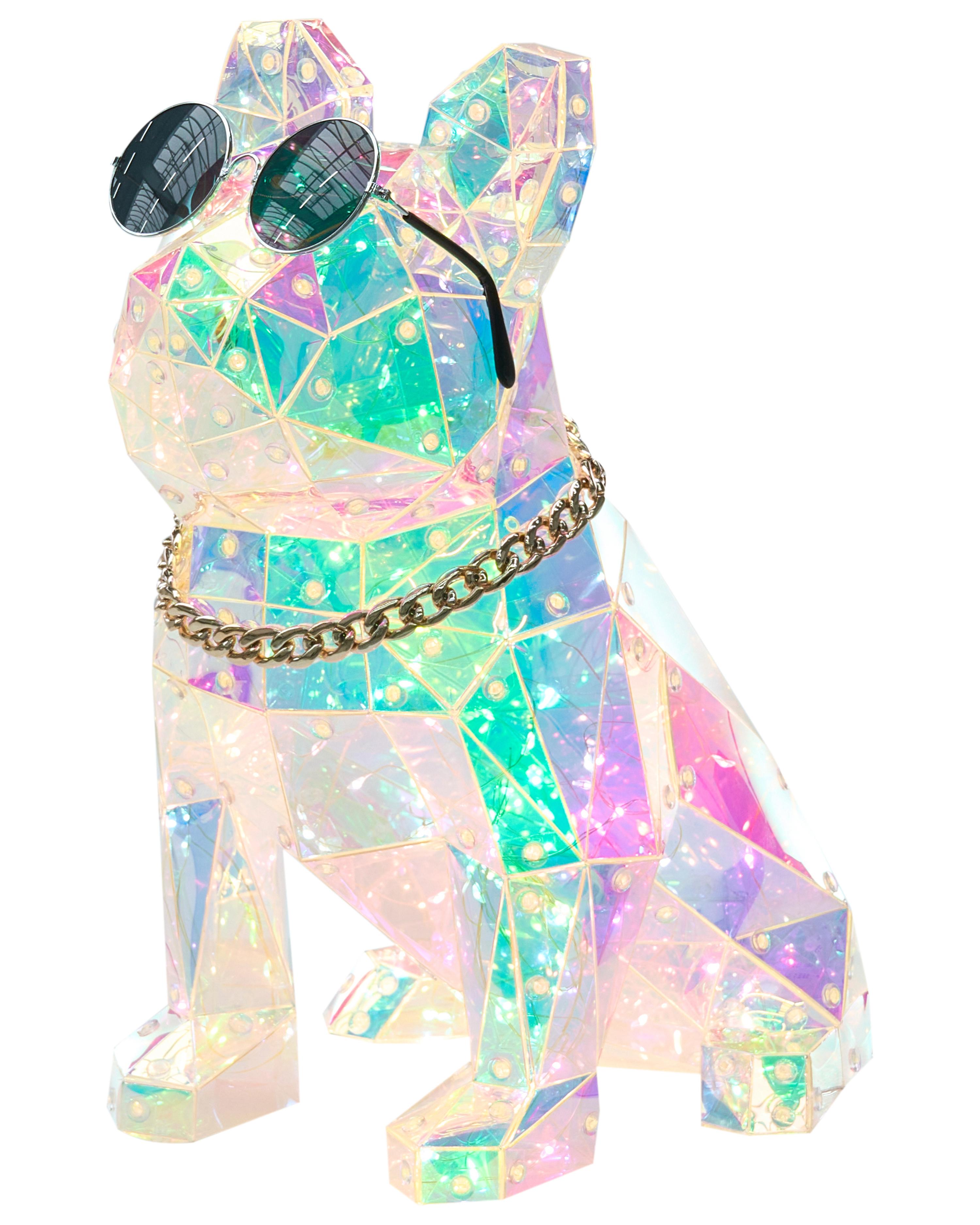 LED Decoration Dog JONKU Multicolour