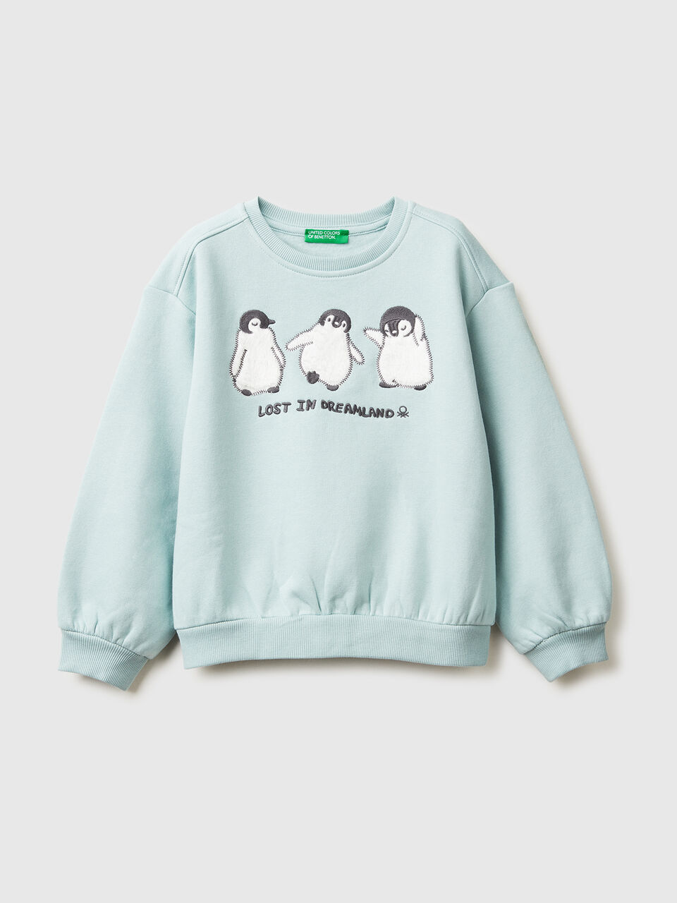Sweatshirt with animal embroidery