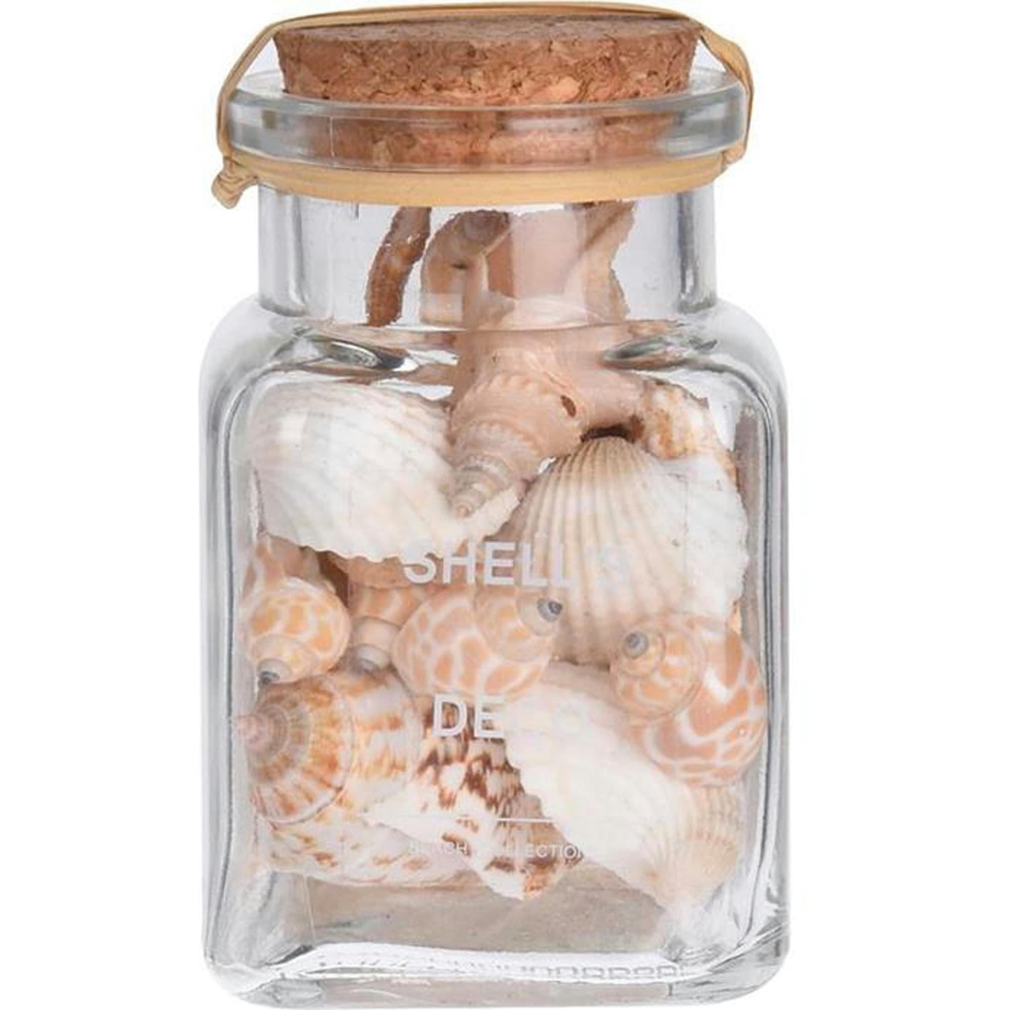 - Coquillages décoratifs set de 4 pots en verre