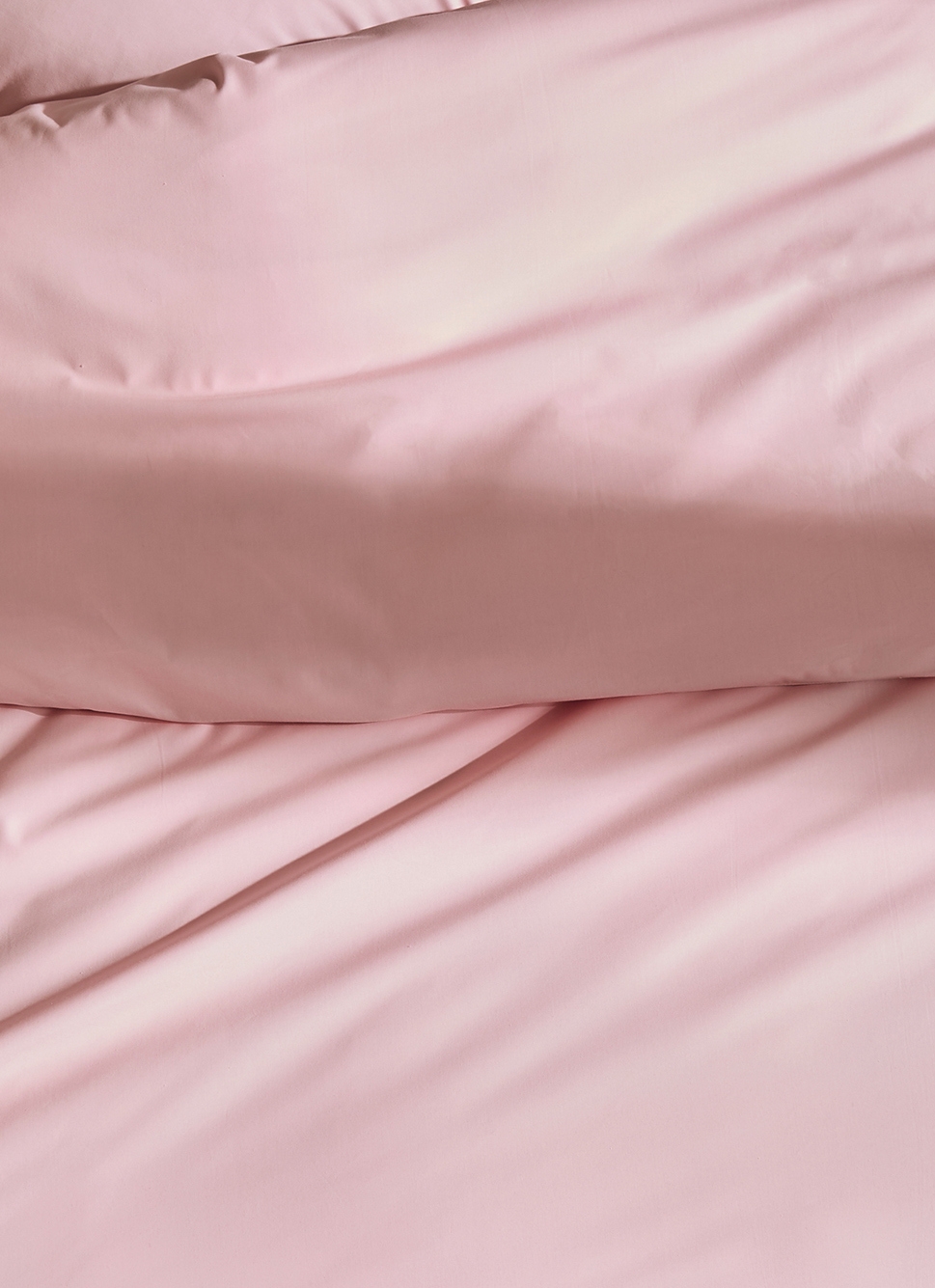 HOUSSE DE COUETTE UNIE EN PERCALE DE COTON PETALE