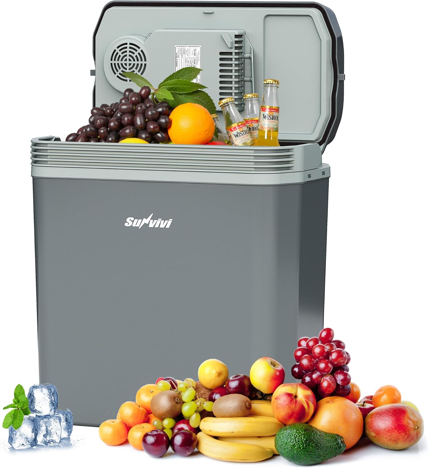 SUNVIVI Electric Cooler & Warmer with Handle, 21QT Portable Thermoelectric Car Refrigerator, Plug-in Mini 12V Fridge for Vehicle, Car fridge for Truck, Travel, Camping, Home, Office, Gray