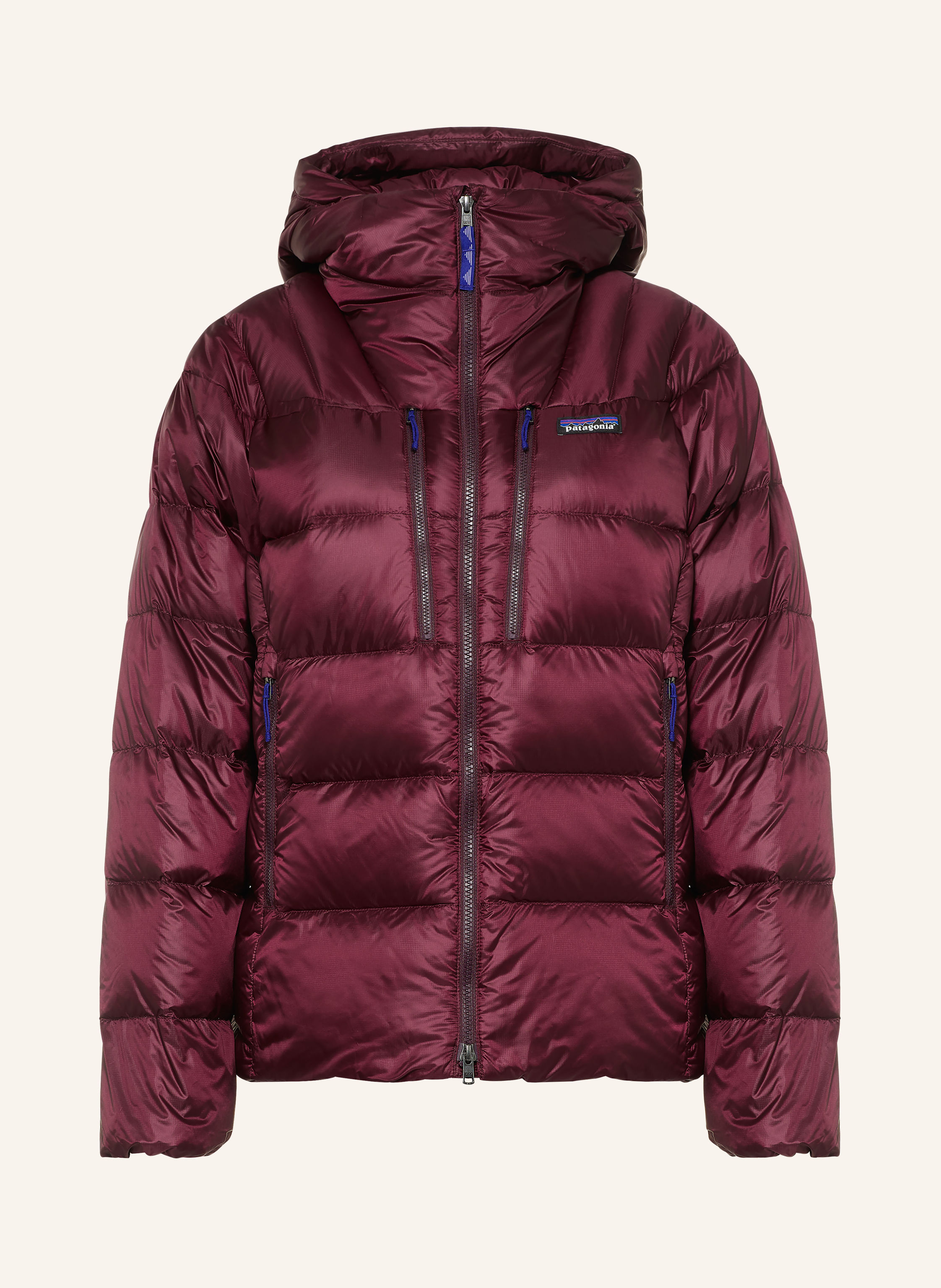 patagonia Daunenjacke FITZ ROY