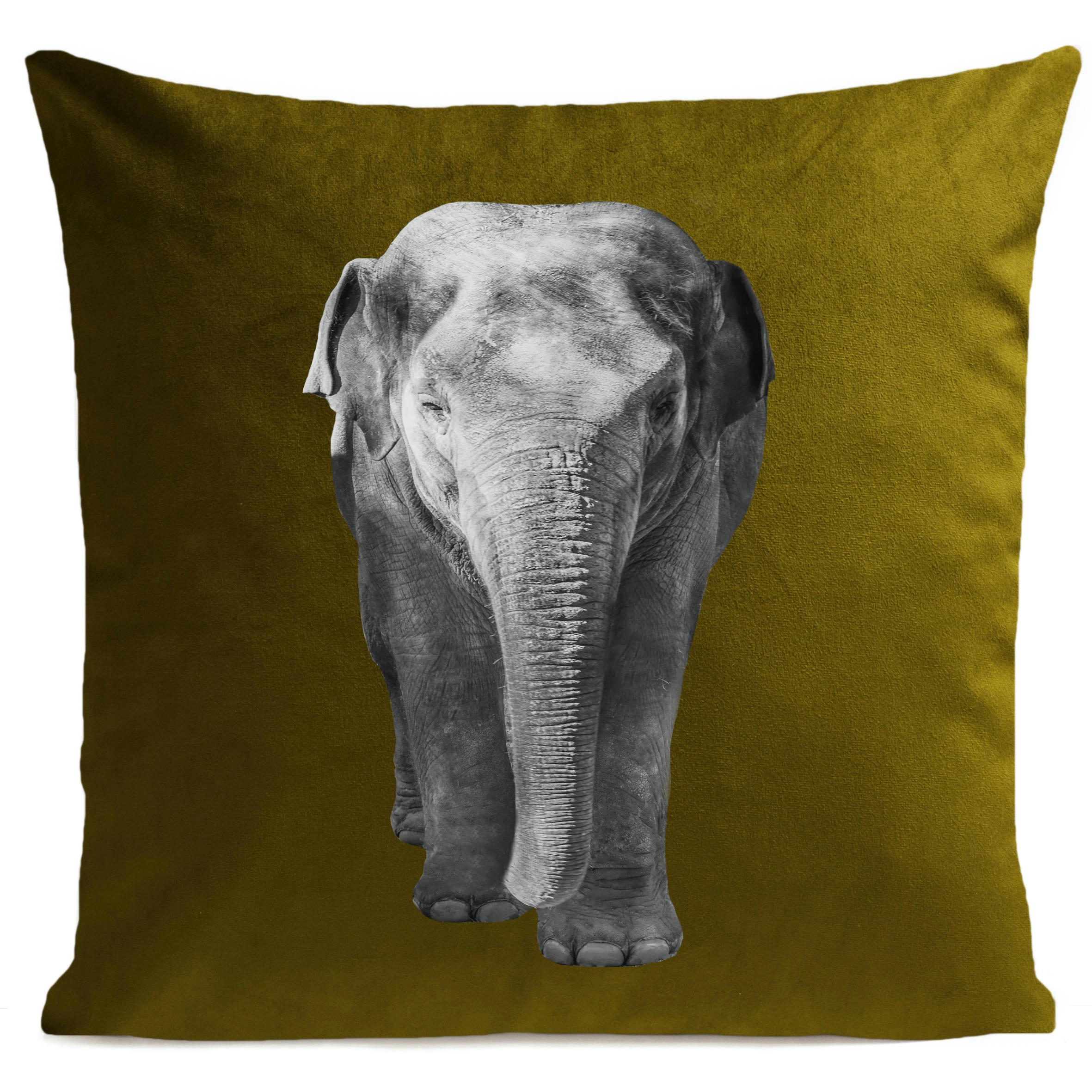 - Coussin jungle elephant  suédine vert 40x40cm