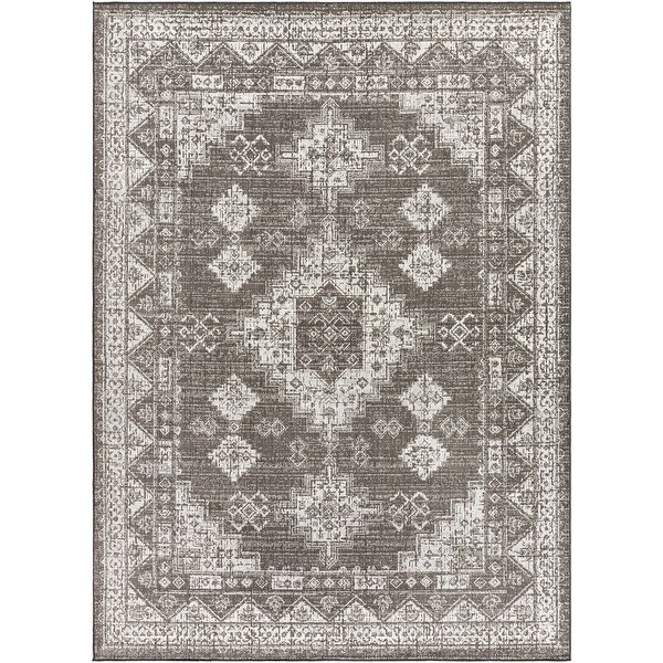 Susannah Indoor / Outdoor Updated Traditional Area Rug