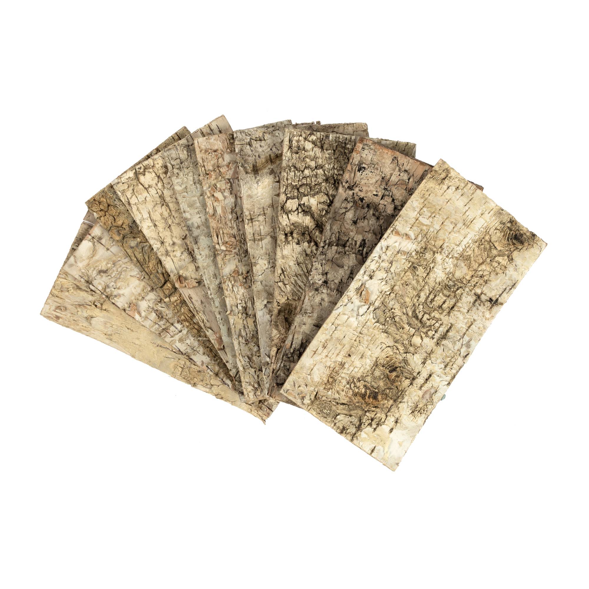 Birch Bark Bundle 10 Pack