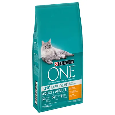 PURINA ONE Adult Chicken & Whole Grains Dry Cat Food