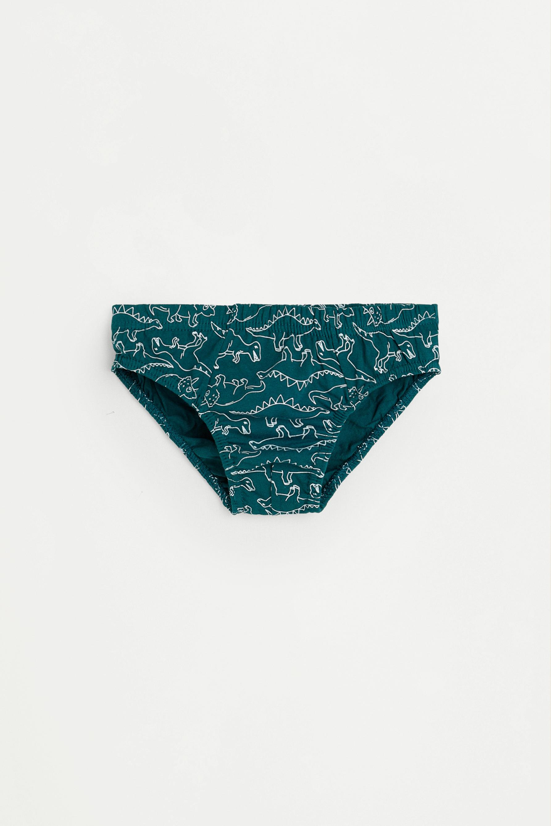 Calzoncillos slip dinosaurios (Pack 7)