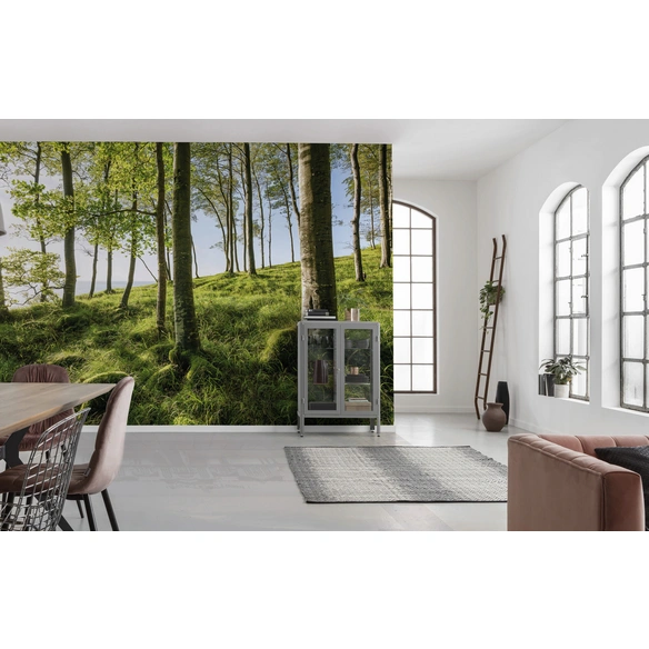Vliestapete »Buchenspektakel«, Breite 450 cm, seidenmatt