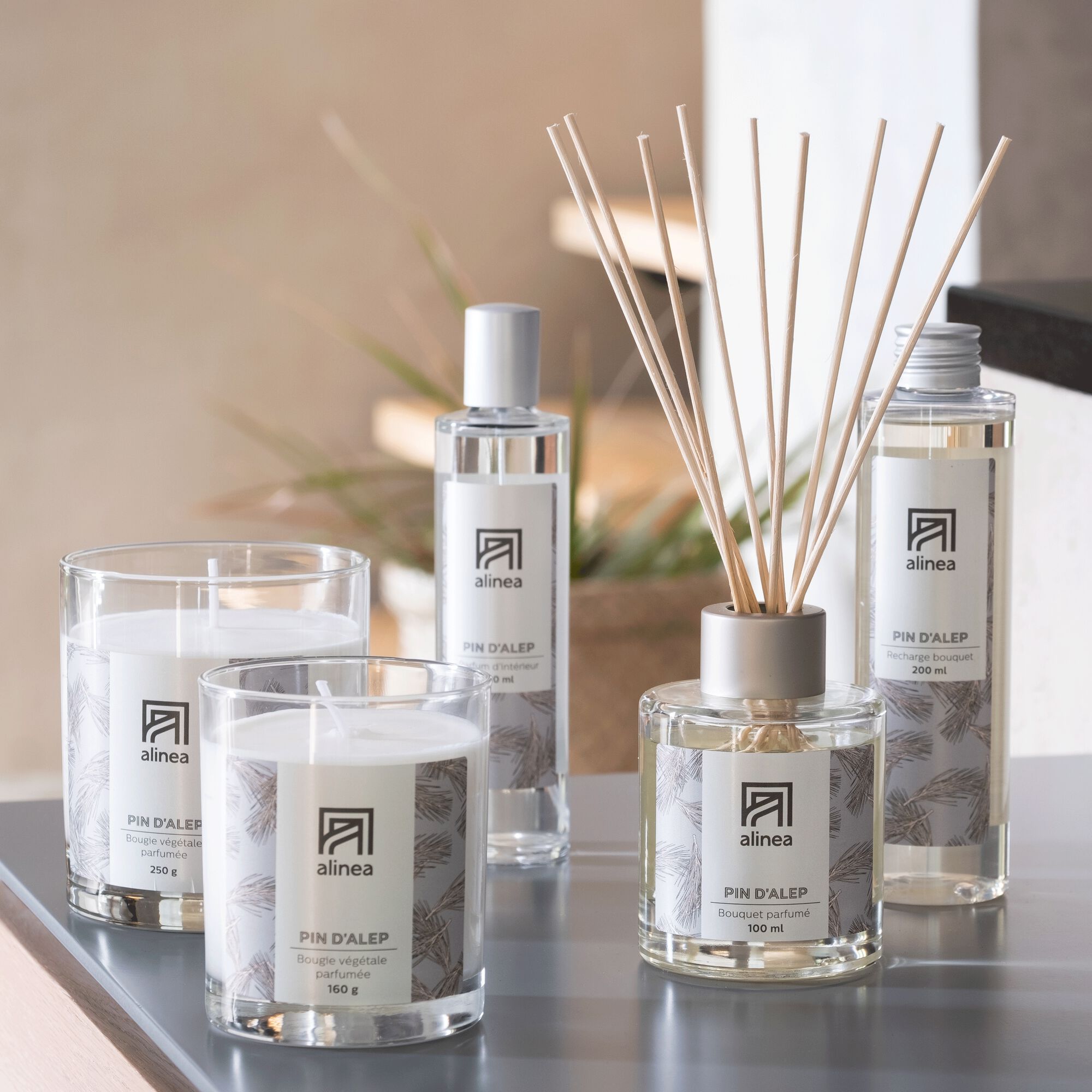 SIGNATURE - Recharge pour diffuseur senteur Pin d'Alep 200ml