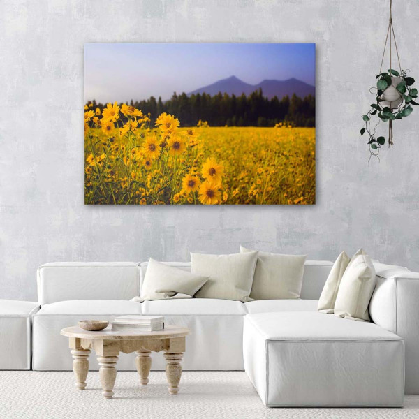 Feeby Obraz na płótnie Polne żółte kwiaty 60x40