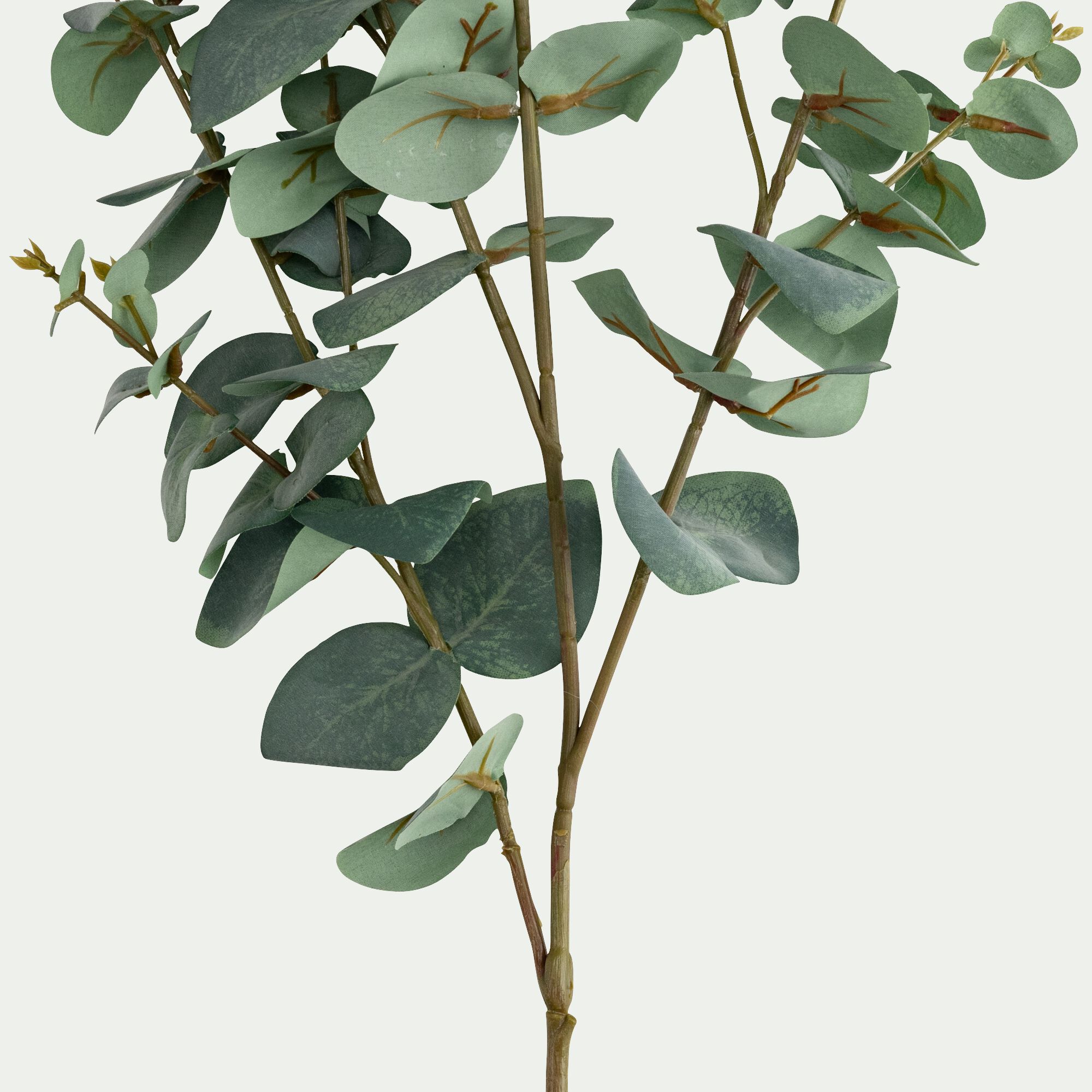 BERILLO - Branche d'eucalyptus artificielle H115cm - vert