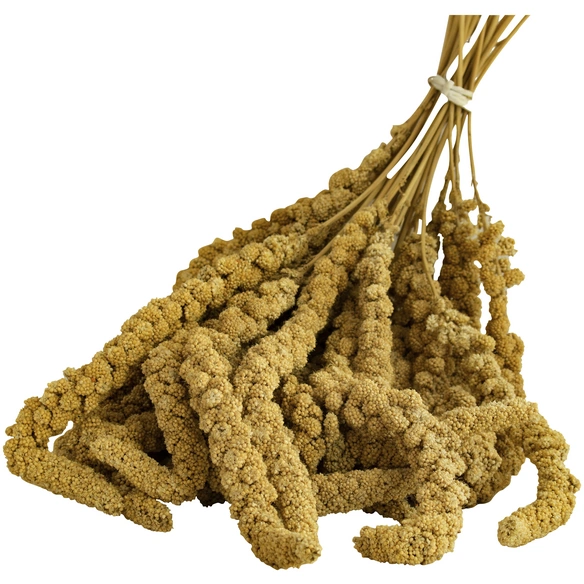 Vogelfutter, 200 g kg, Hirse