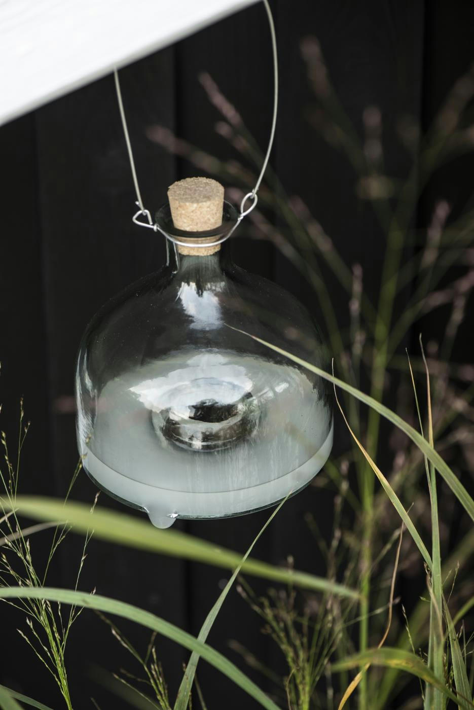 - Attrape-Guêpes avec bouchon et fil D14.5cm