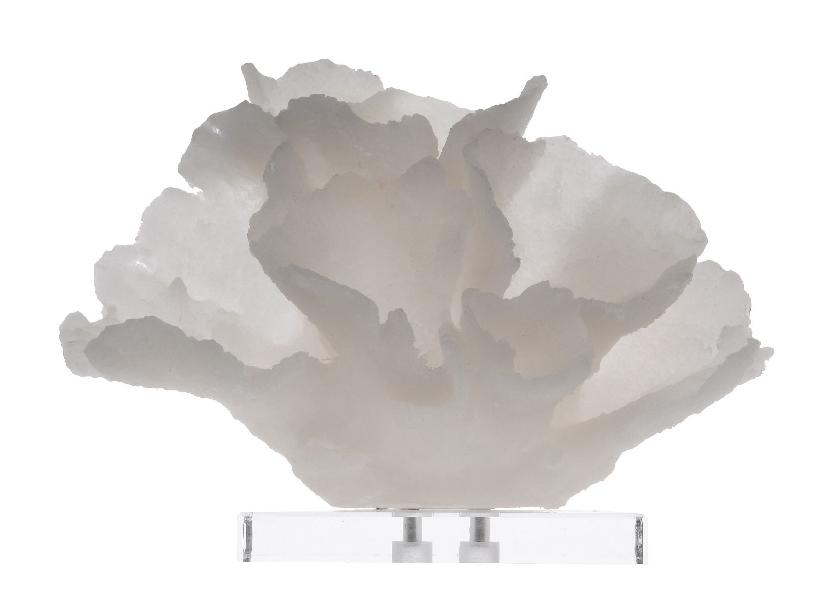 Koralowiec ozdobny East Hampton 22x13x16cm