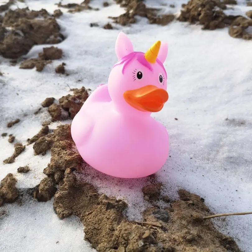 Badespielzeug Badewannenspass
