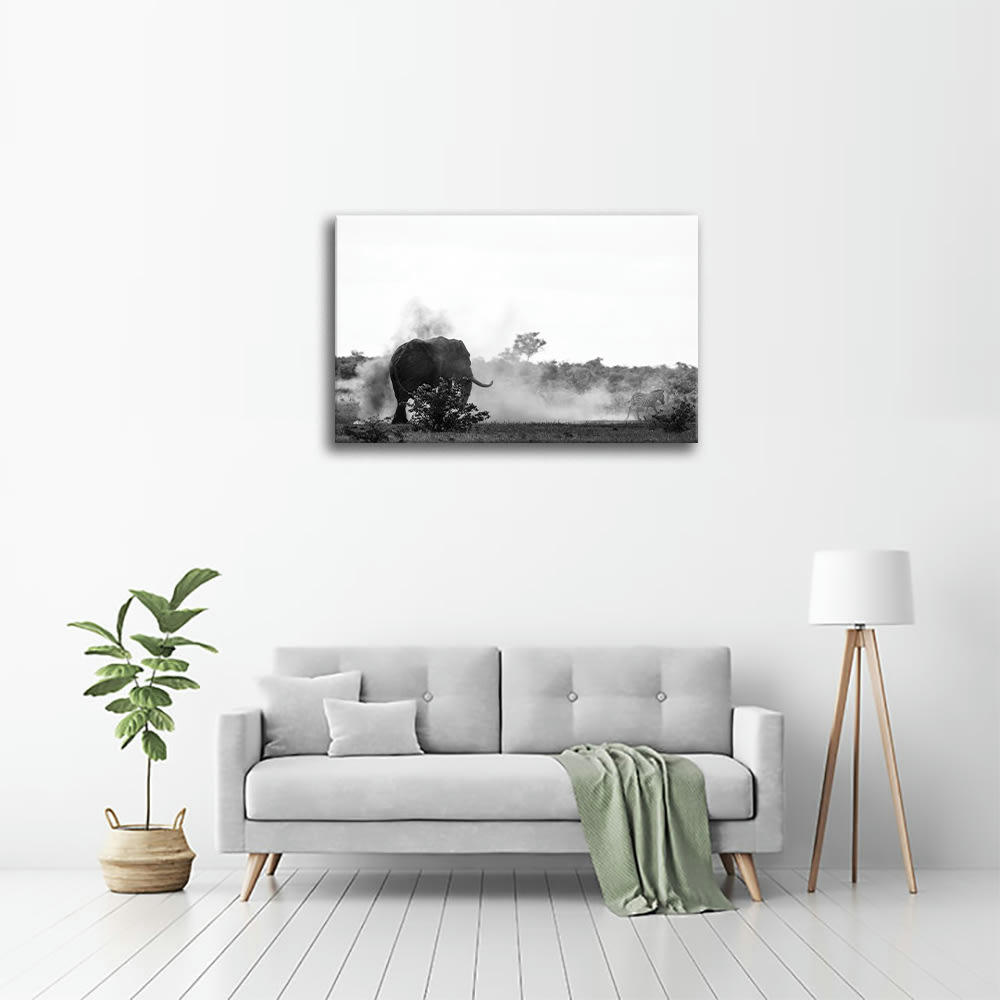 - Tableau impression sur toile le zèbre et l'éléphant 60x90cm