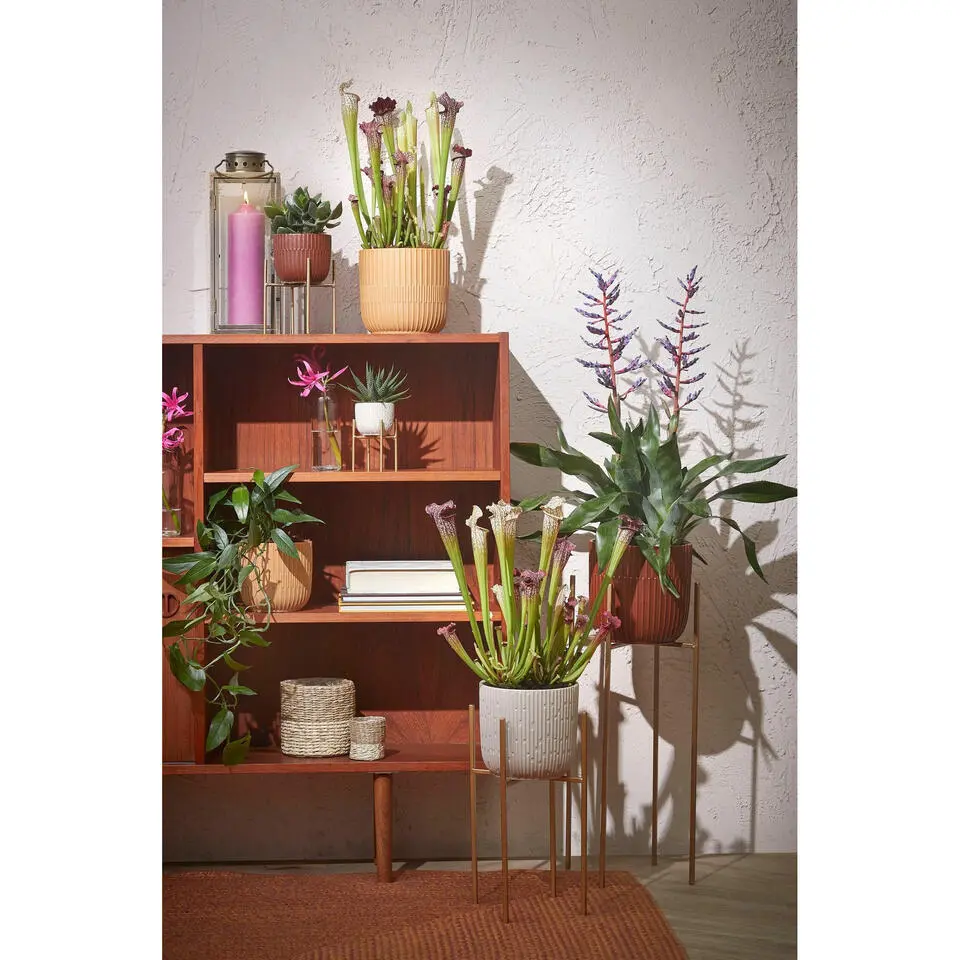 Mica Decorations - bloempot plantenstandaard- goud - H35 x B21 cm