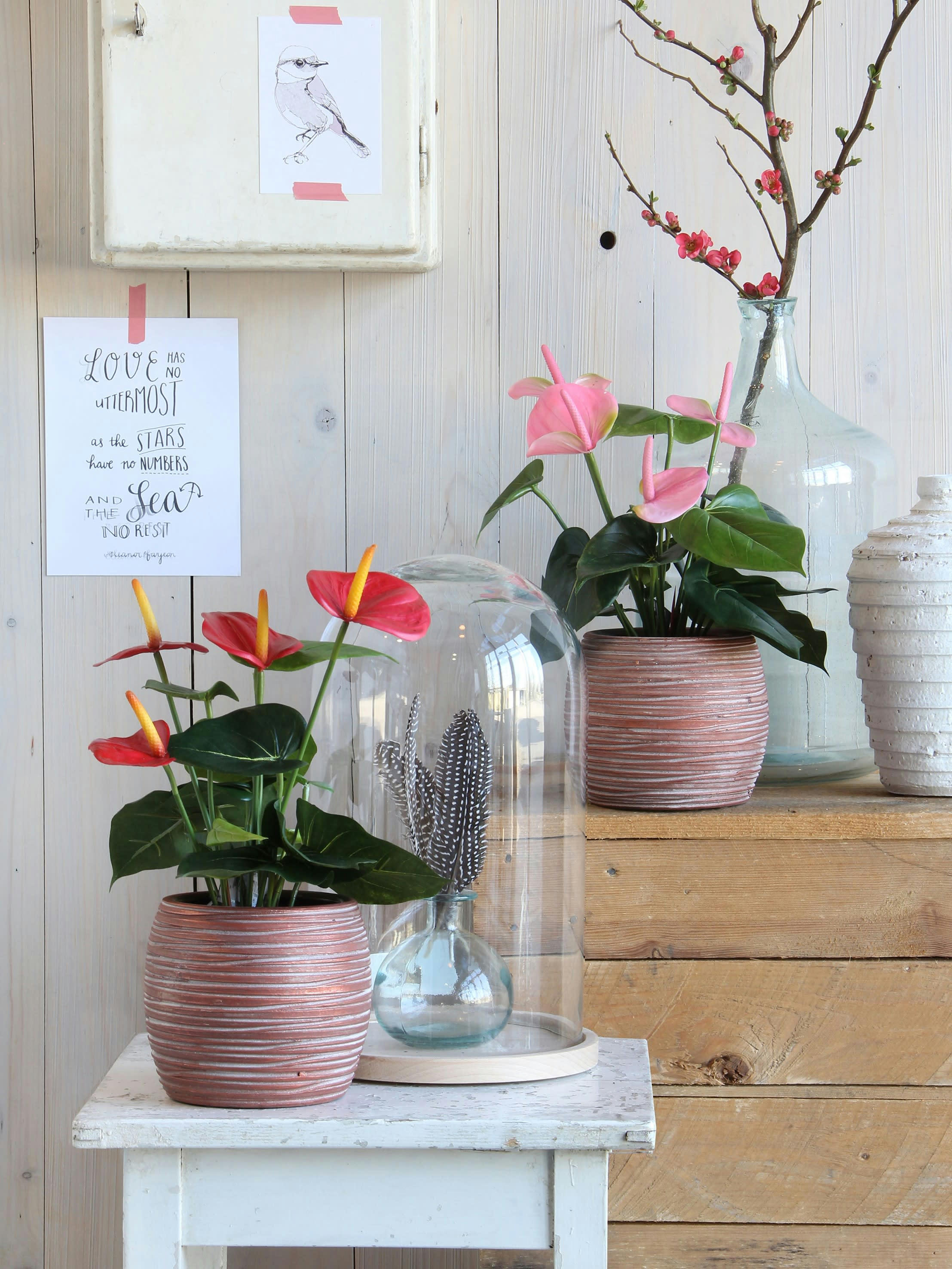 - Anthurium artificielle rouge en pot H40