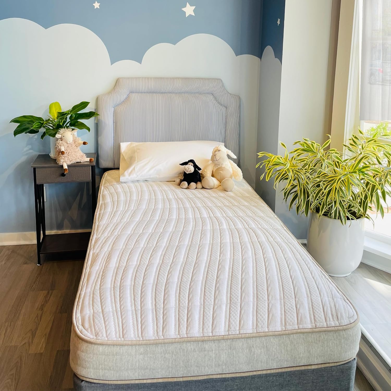 Ethical Mattress CO 6 Kid’s Mattress, Toxin-Free, Made in The USA with Organic Cotton, Wool, Latex & Pocketed Coils (Bed-in-a-Box); Perfect for bunk beds, trundles & Platform beds - Full Size