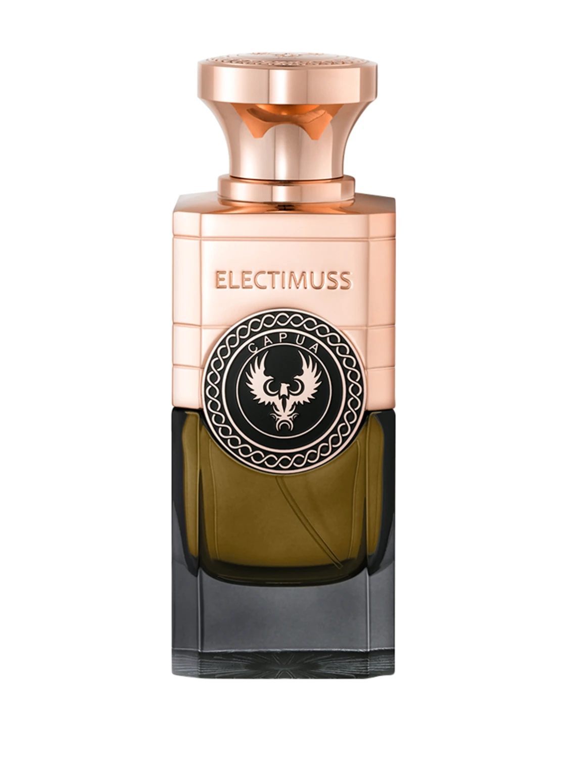 ELECTIMUSS CAPUA