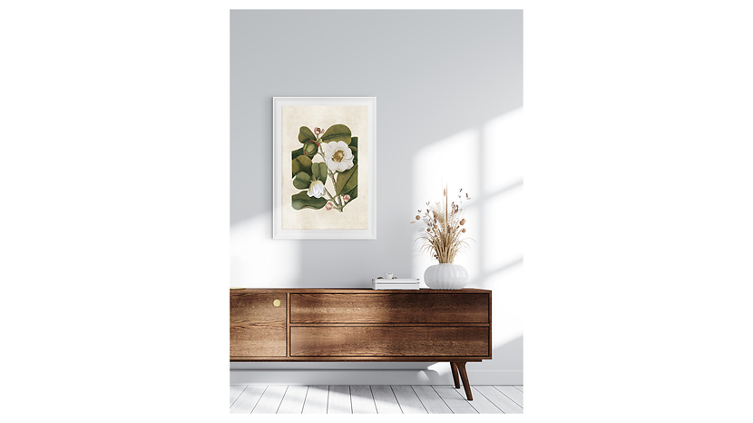 Obraz w ramie Botanical White Flower No. 1 58x68 cm