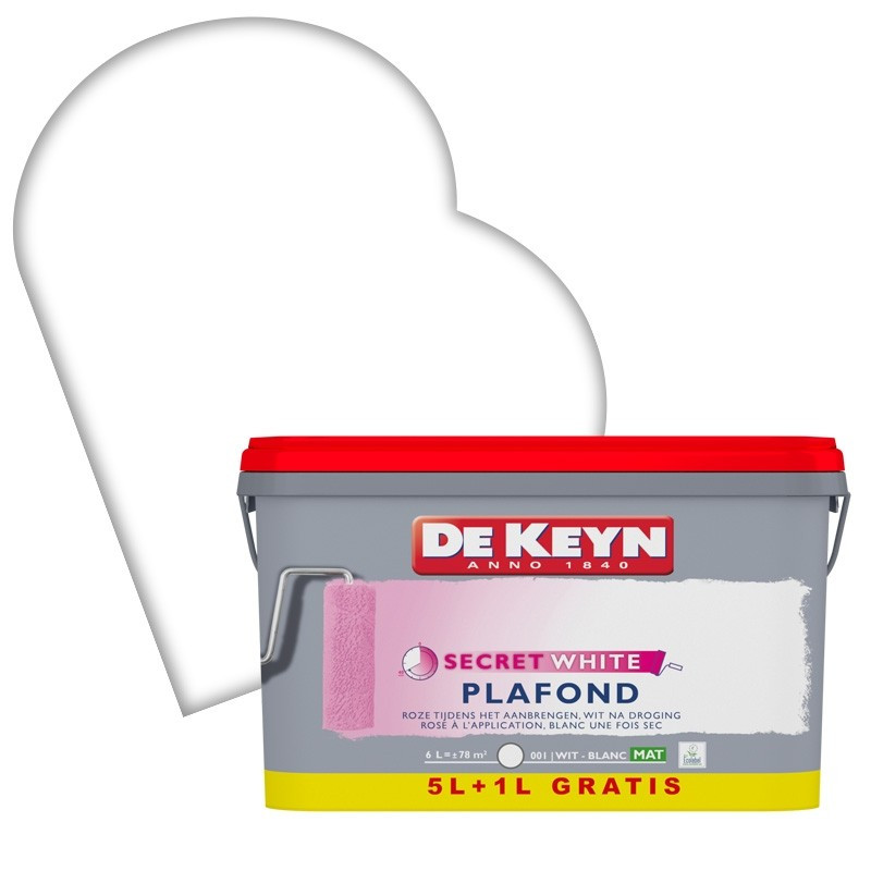 Peinture plafond blanc 5   1 L gratuit DE KEYN