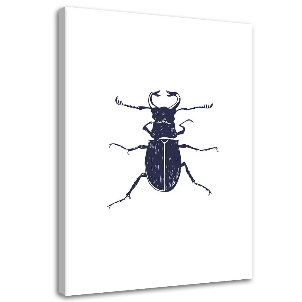 Feeby Obraz na płótnie Czarny chrabąszcz 40x60