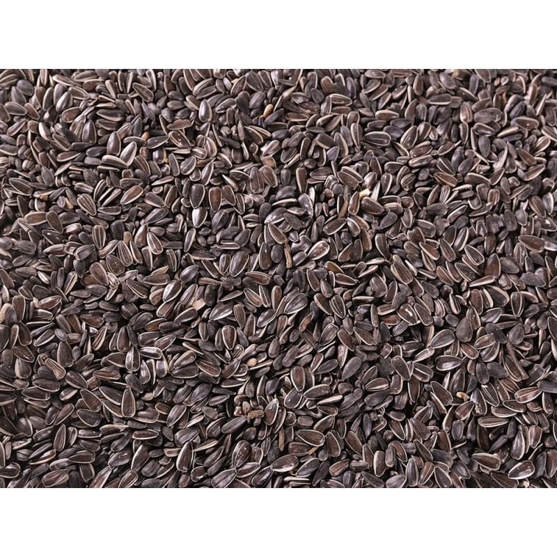 Mélange de graines de tournesol 800 g