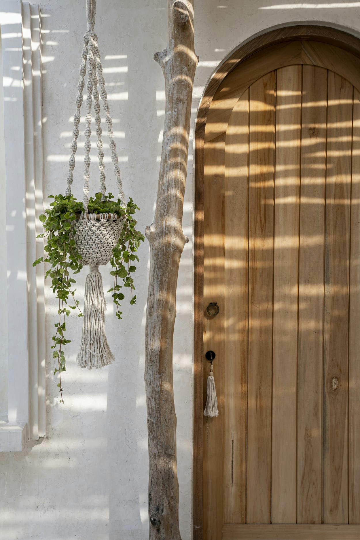 TWISTED - Suspension de plantes en coton blanc naturel petite