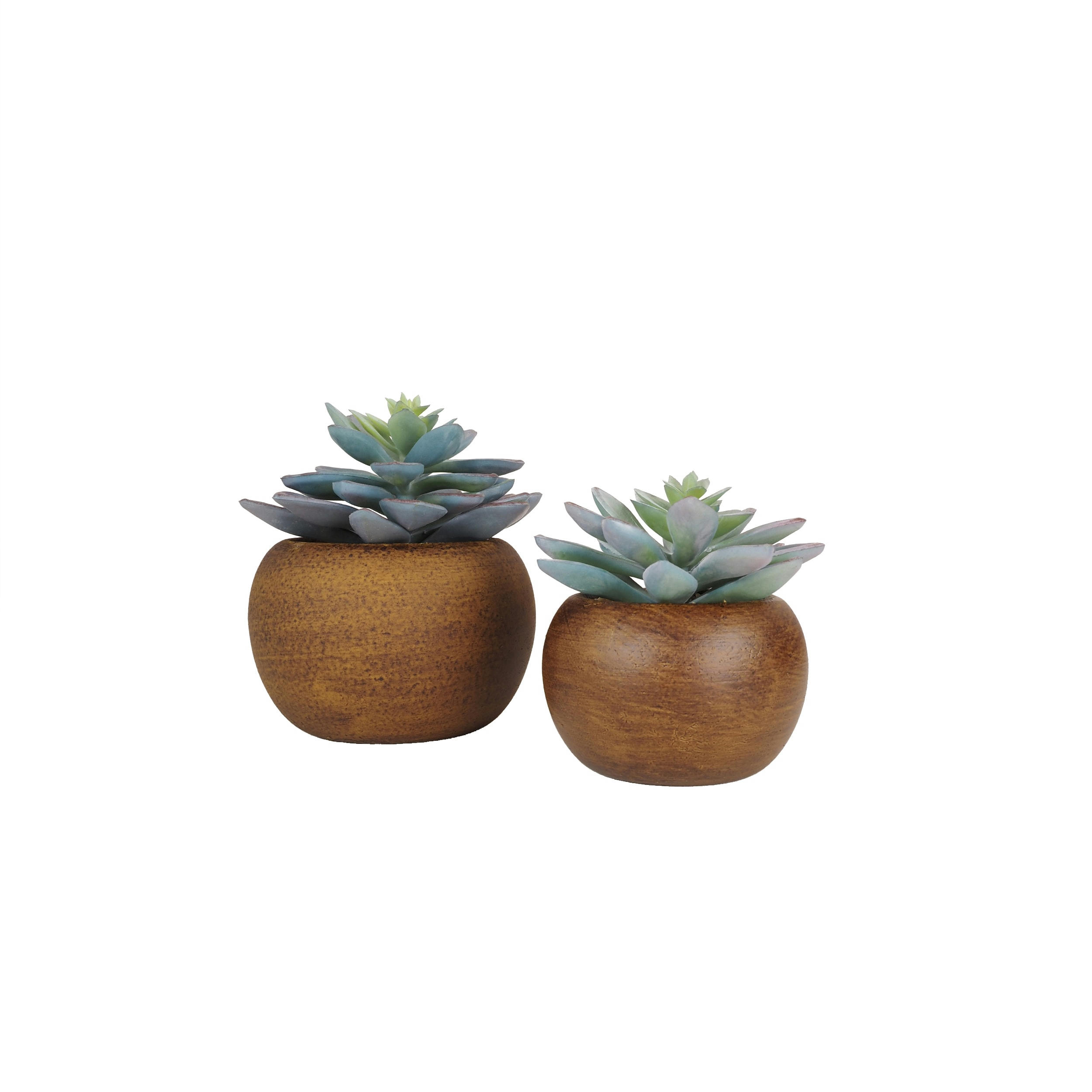 - Succulente artificielle lot de 2 pot bois 15cm