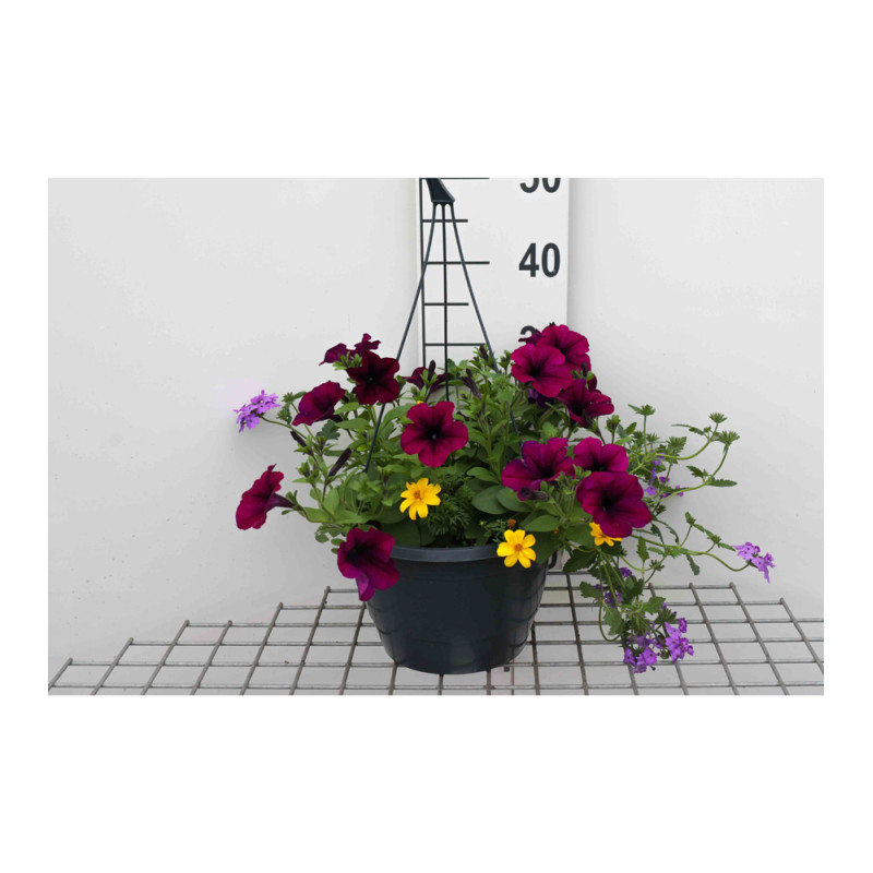 Suspension mixte en pot